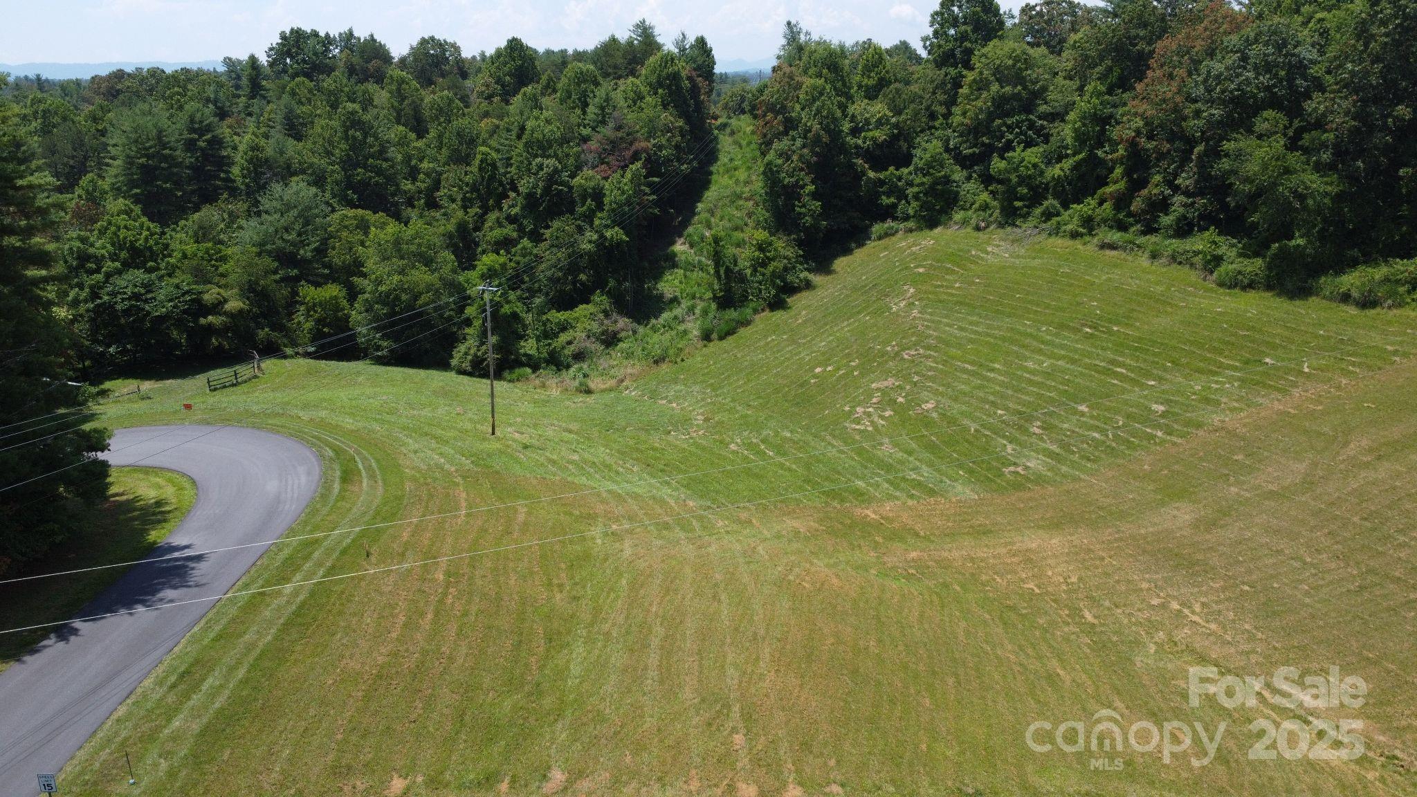 Lot at 9999 Settlers Trail, Mars Hill, photo 5 of 24
