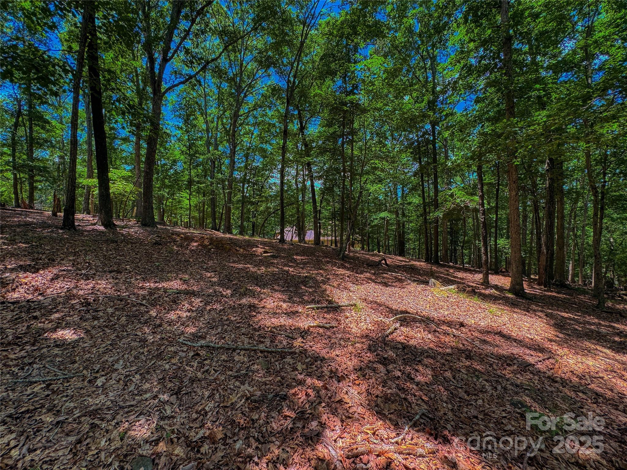 Lot at 1560 Rocky Cove Lane, Denton, photo 4 of 28