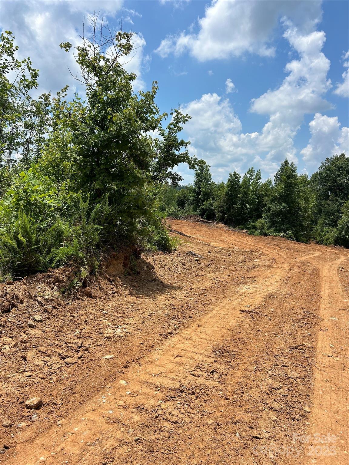Acreage at 1824 Brushy Creek Road, Kingstown, photo 4 of 8