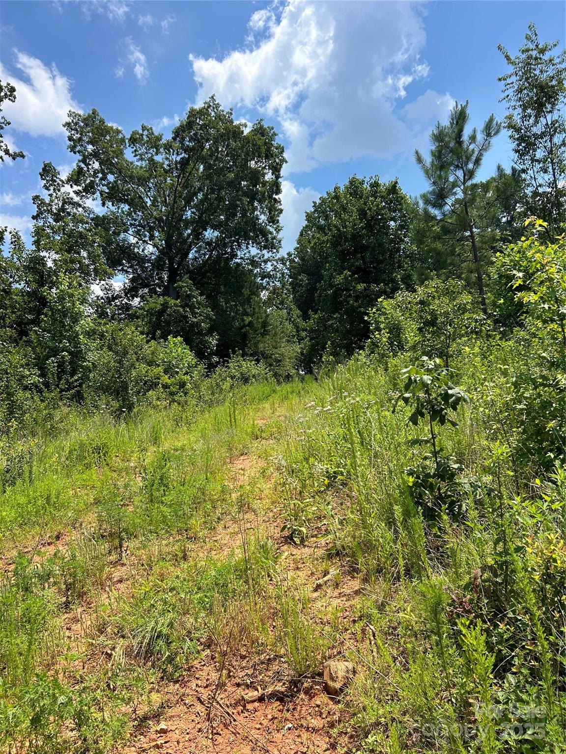 Acreage at 1824 Brushy Creek Road, Kingstown, photo 5 of 8