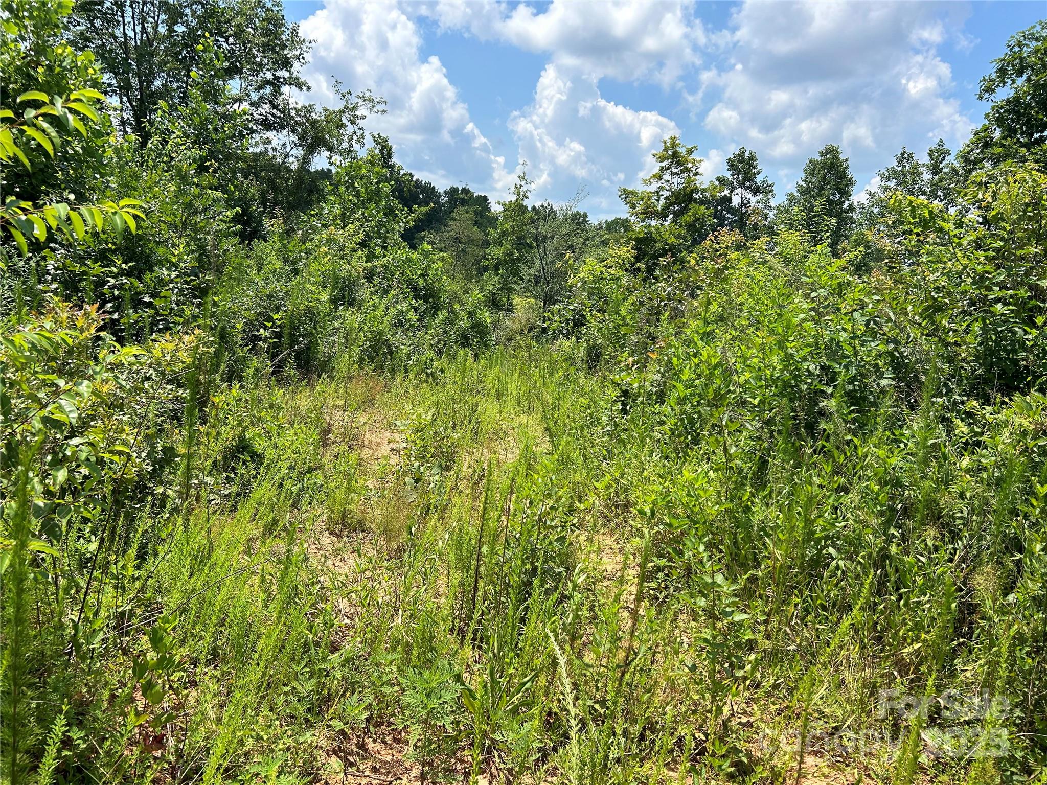 Acreage at 1824 Brushy Creek Road, Kingstown, photo 6 of 8