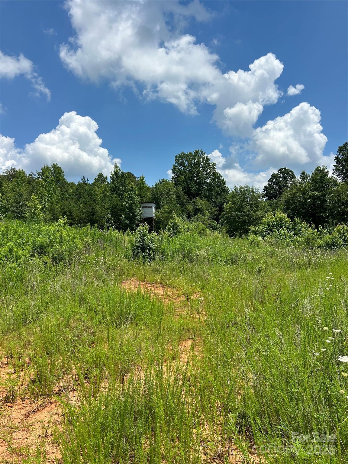 Acreage at 1824 Brushy Creek Road, Kingstown, photo 7 of 8