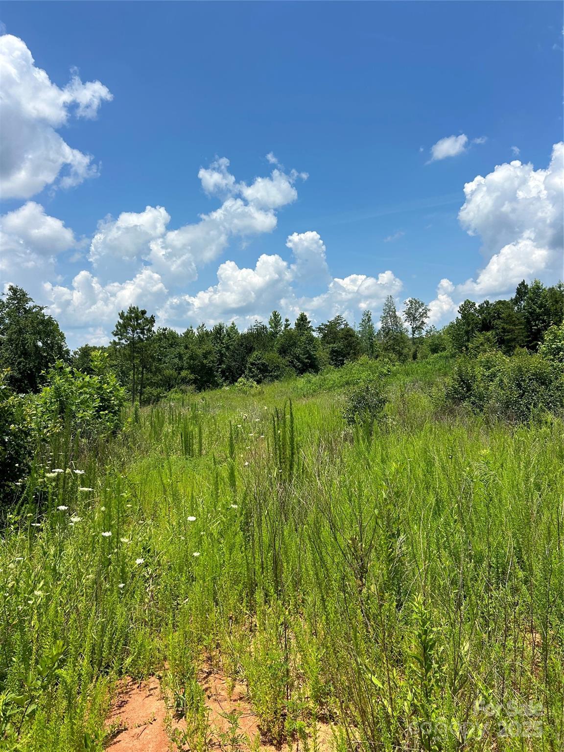 Acreage at 1824 Brushy Creek Road, Kingstown, photo 8 of 8