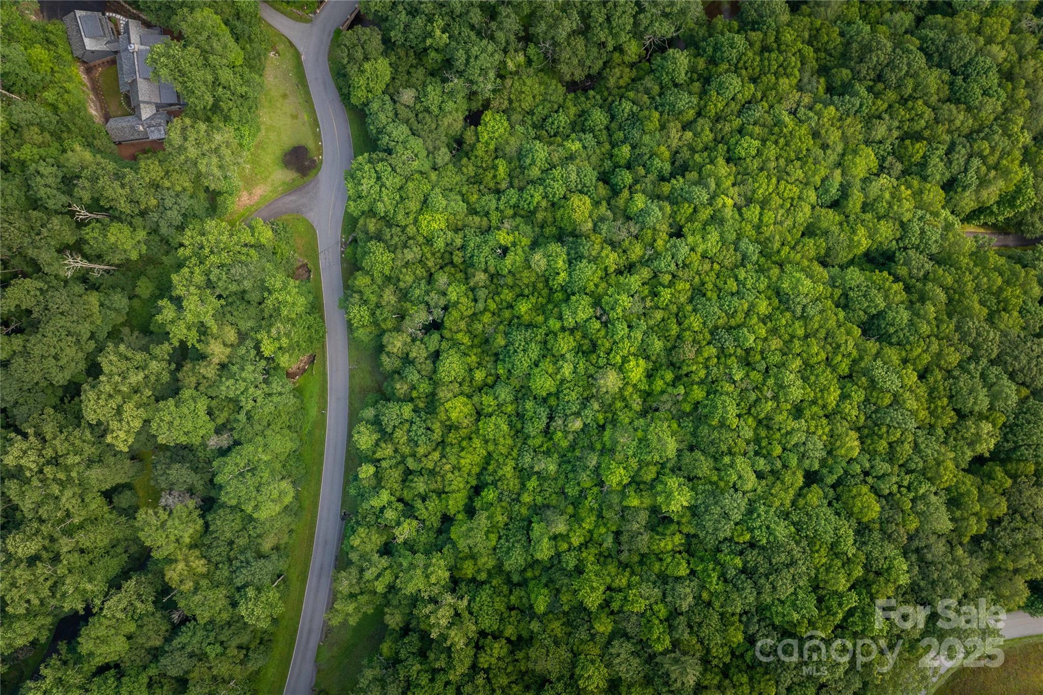 Lot 106 - TBD Lot 106 Firethorn Trail, Blowing Rock
