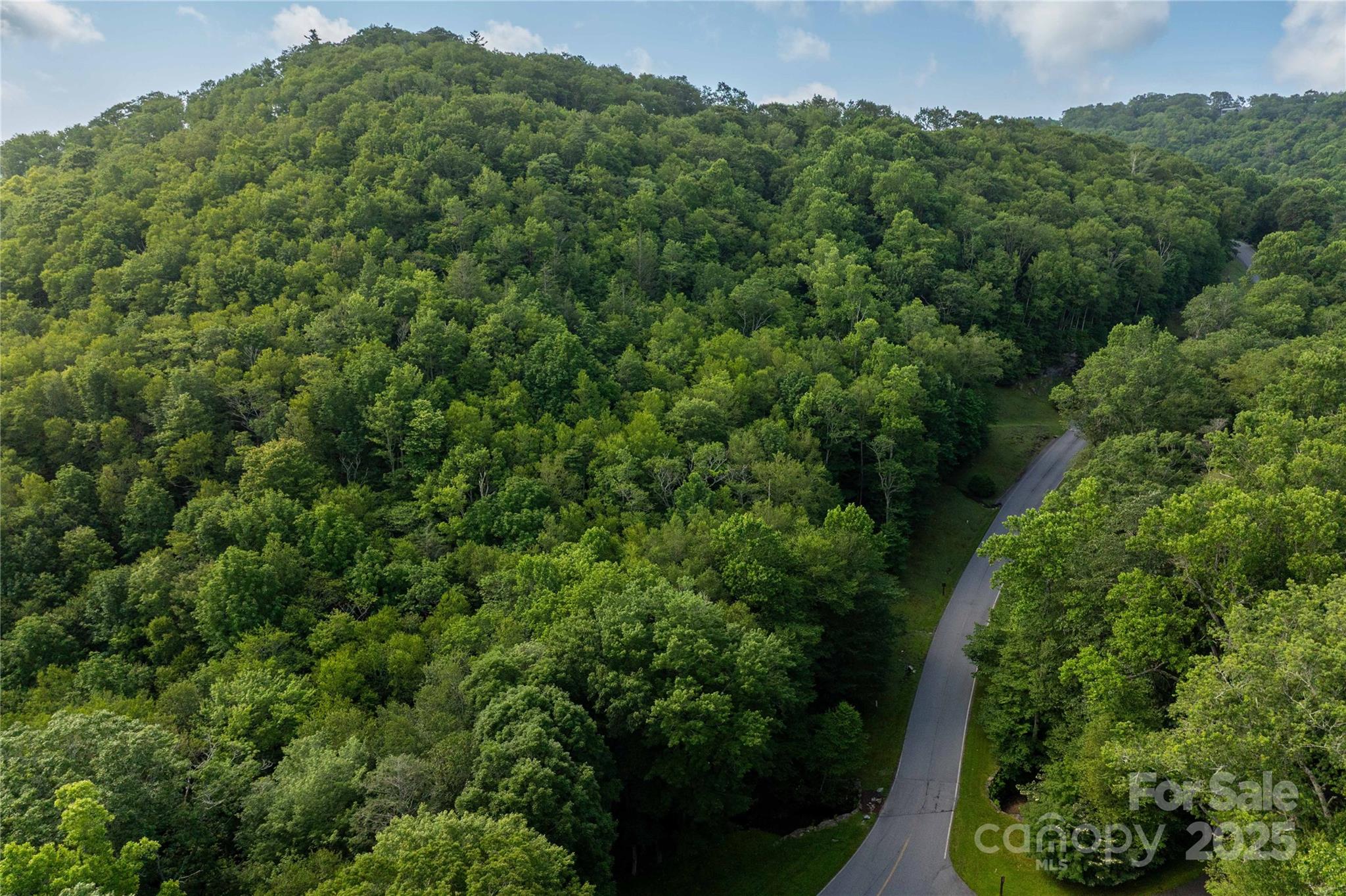 Lot 106 - TBD Lot 106 Firethorn Trail, Blowing Rock