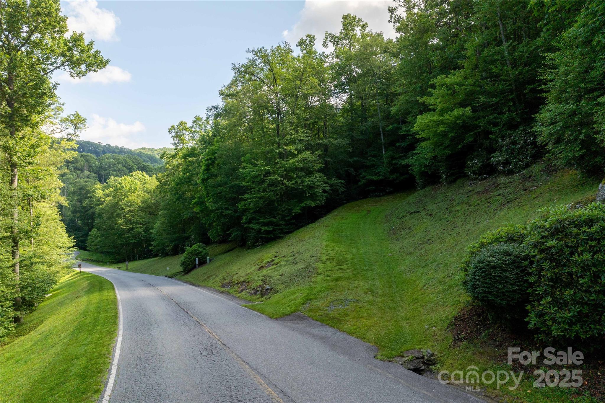 Lot 107 Street View - TBD Lot 107 Firethorn Trail, Blowing Rock