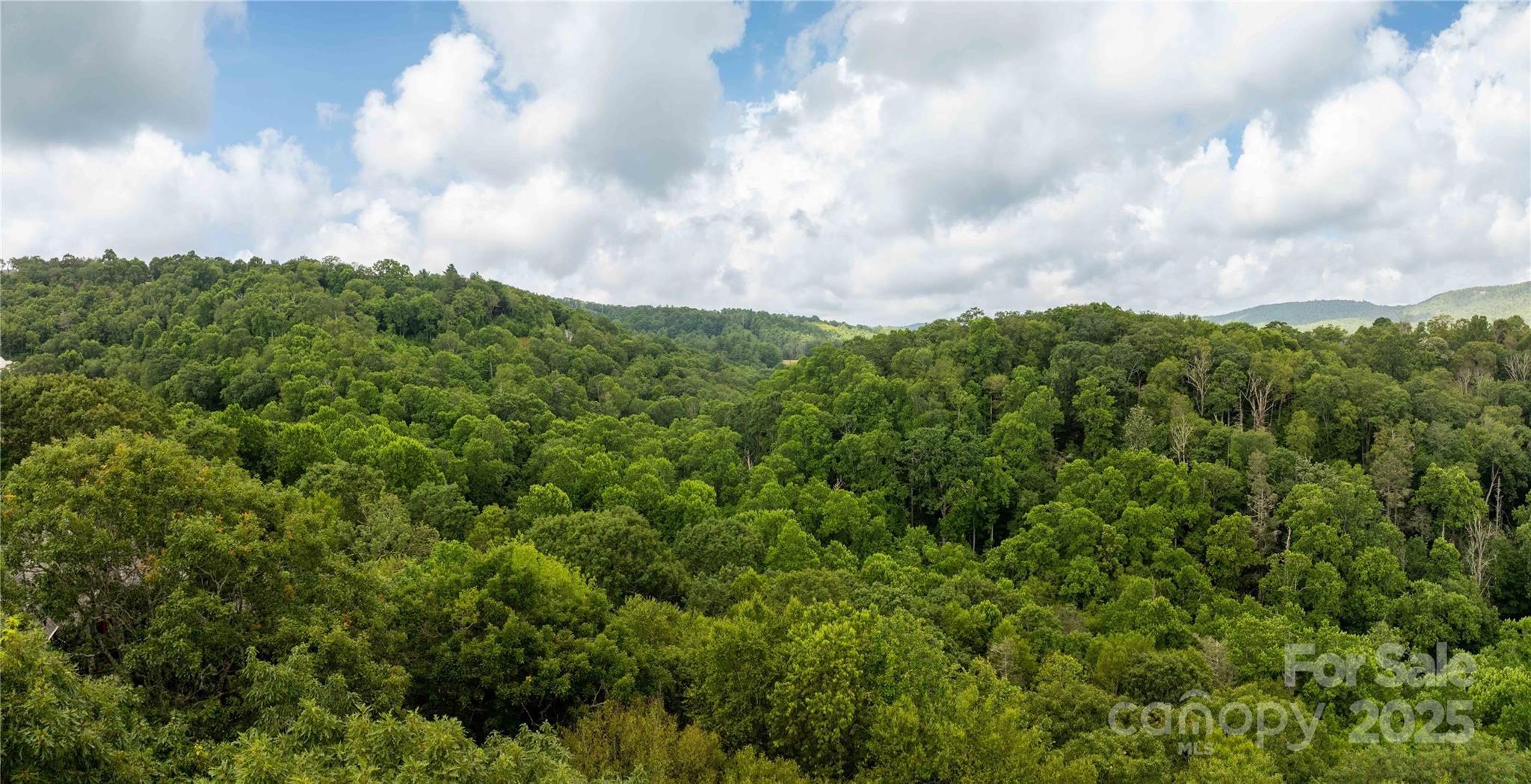 Lot 121, 122, 107 & 108 aerial view - TBD Lot 107 Firethorn Trail, Blowing Rock