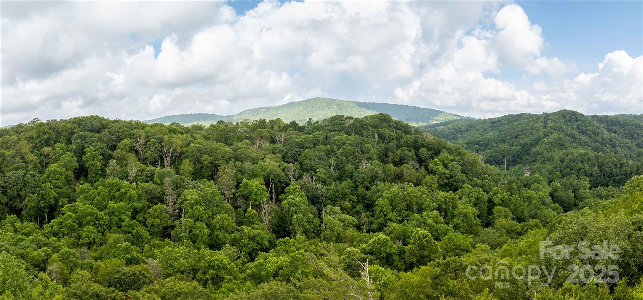 Lot 106, 107, & 123 aerial view - TBD Lot 123 Firethorn Trail, Blowing Rock