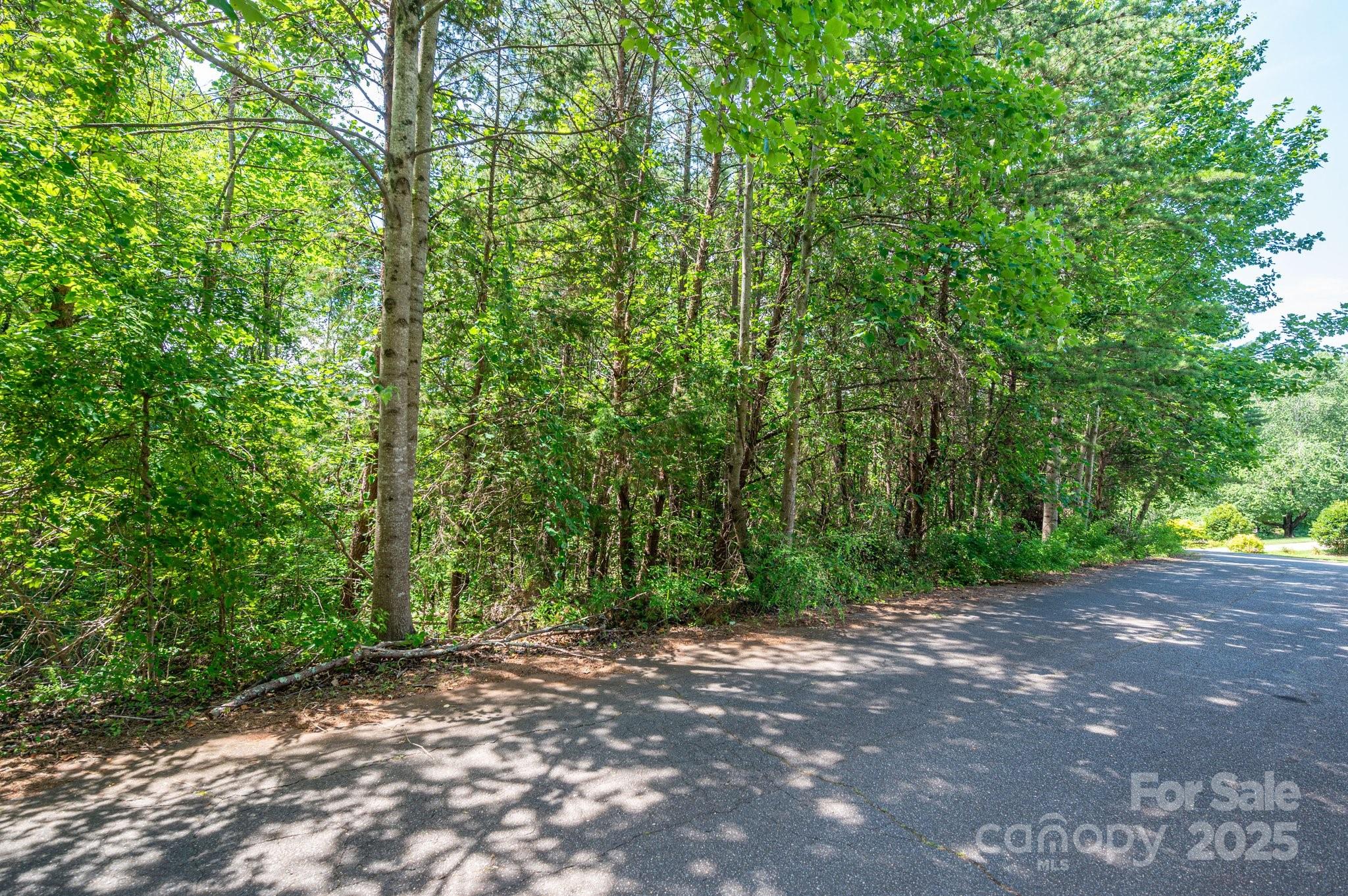 Lot at Lot #24 Deacons Ridge Drive, Rutherfordton, photo 2 of 15