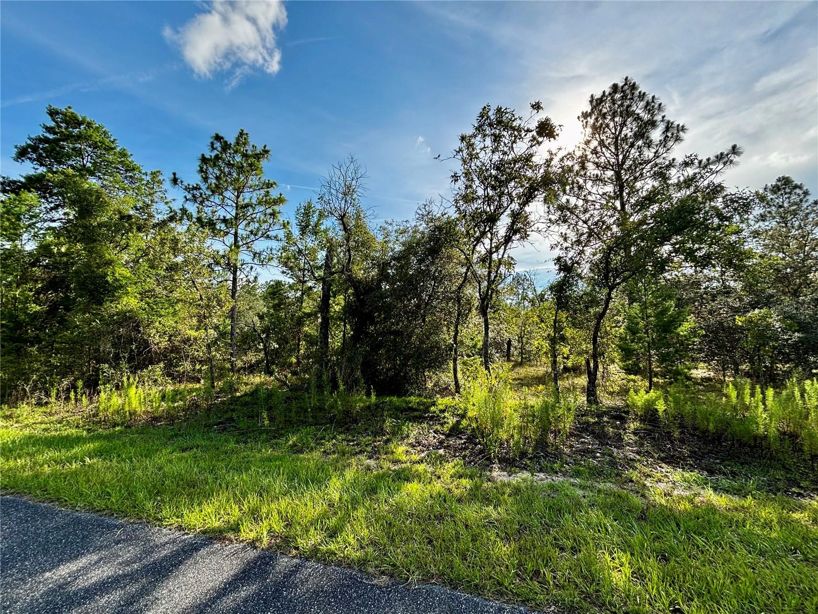 Lot 24 SE 136 TER