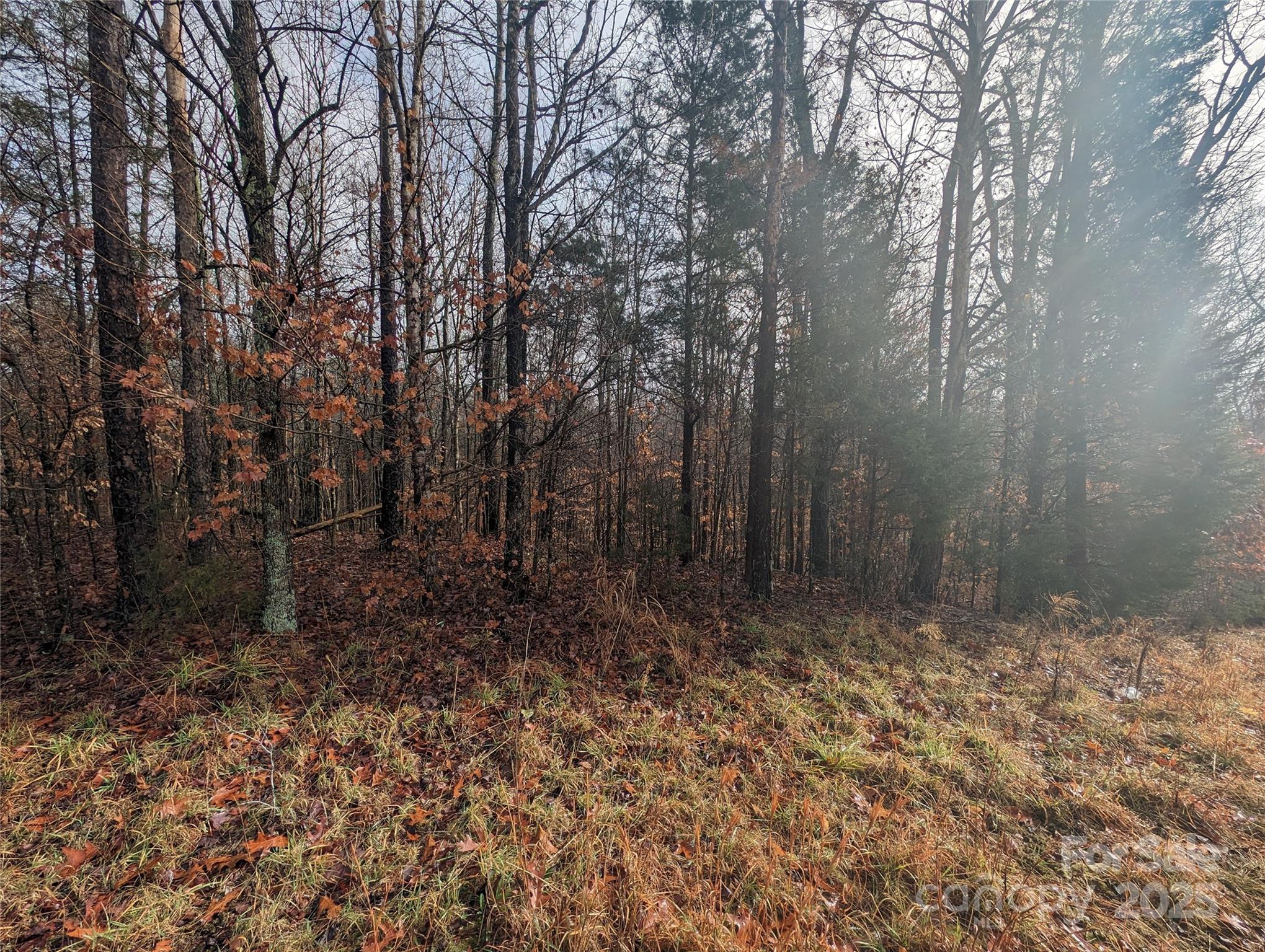Lot at 255 Bowers Road, Thomasville, photo 5 of 12