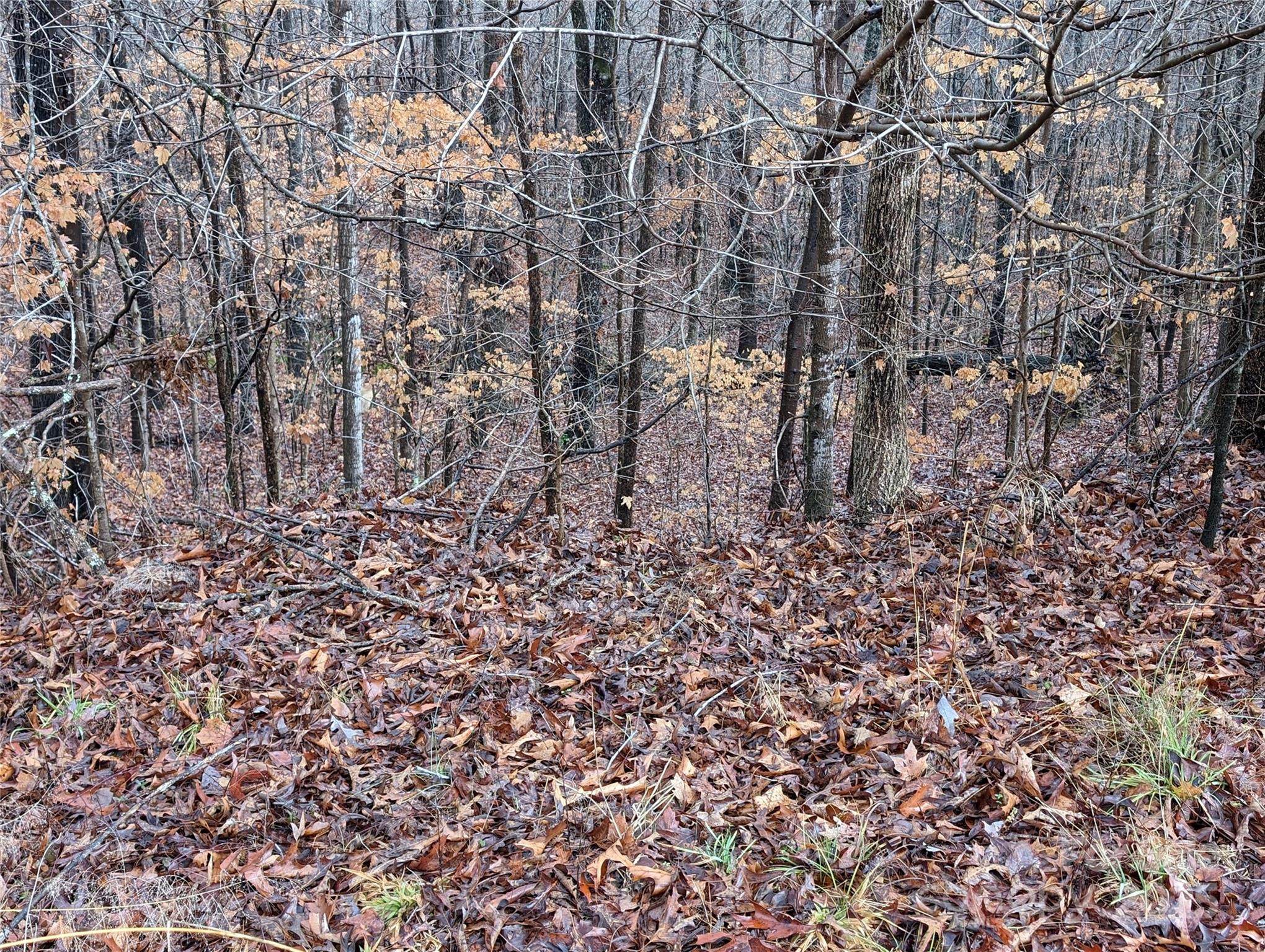 Lot at 255 Bowers Road, Thomasville, photo 12 of 12