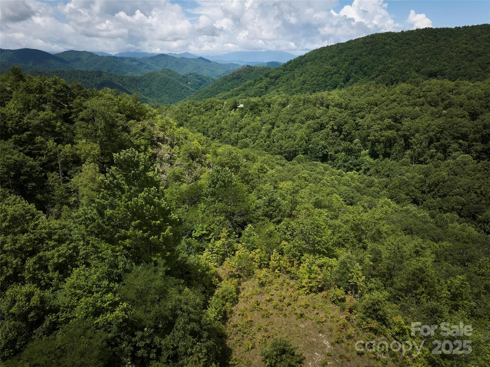 Possible View with some tree clearing - Lot 24 Piedmont Way, Bryson City