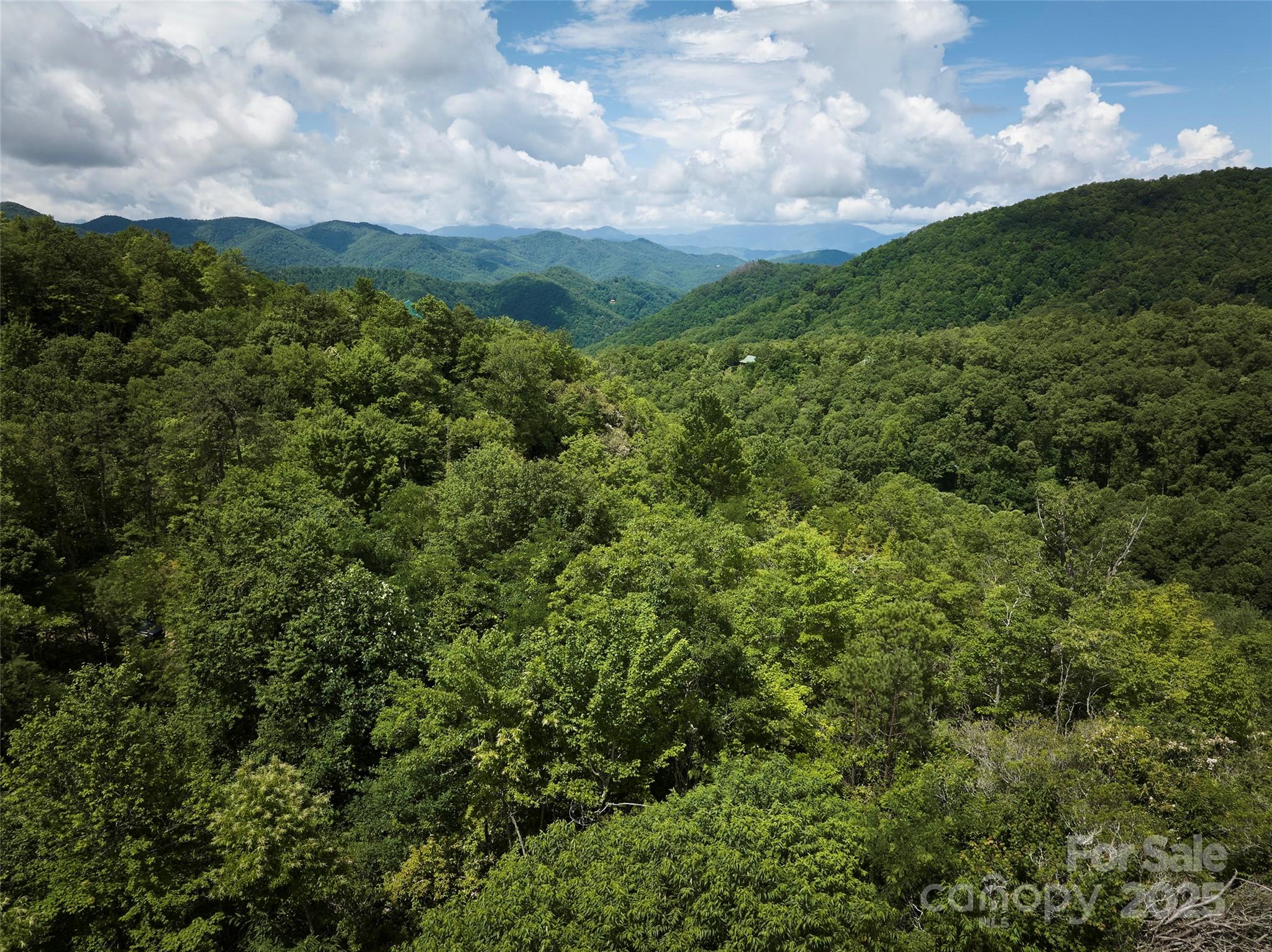 Possible View with some tree clearing - Lot 24 Piedmont Way, Bryson City