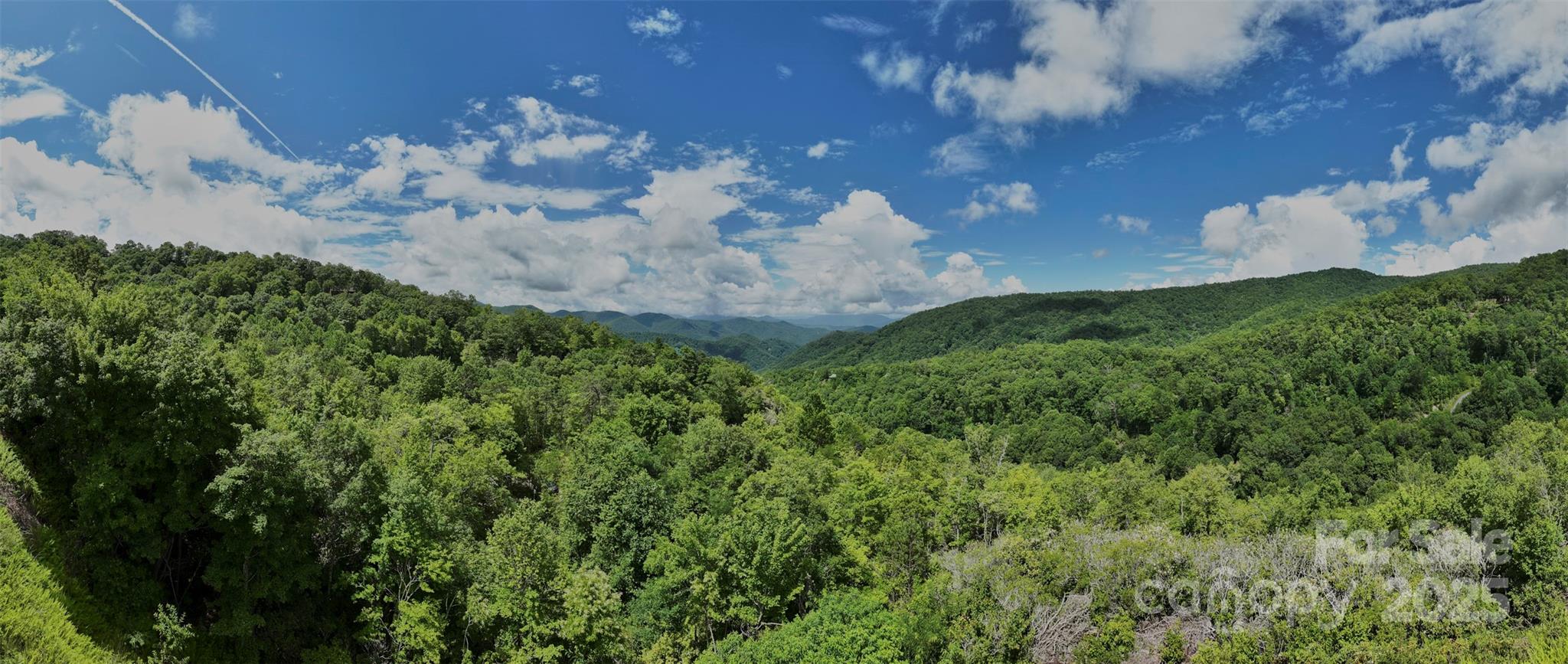Possible View with some tree clearing - Lot 24 Piedmont Way, Bryson City