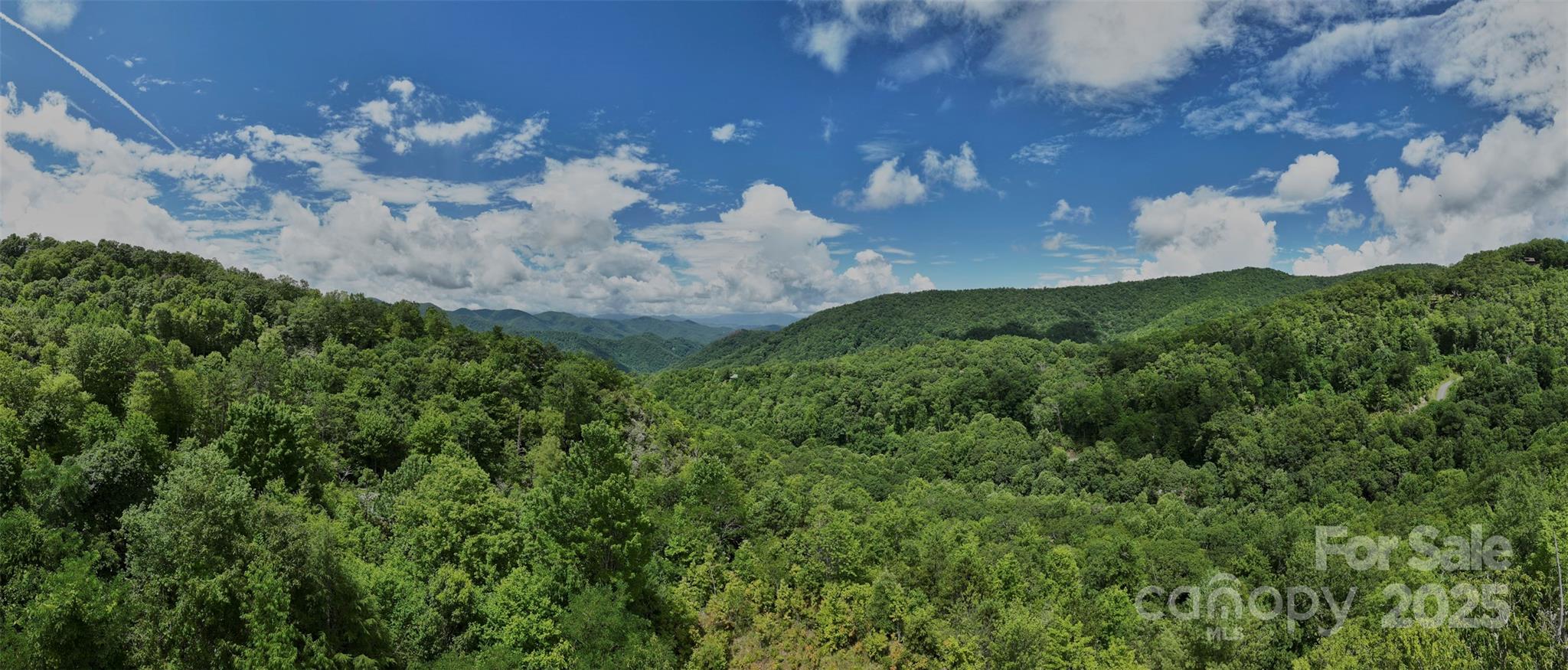 Possible View with some tree clearing - Lot 24 Piedmont Way, Bryson City