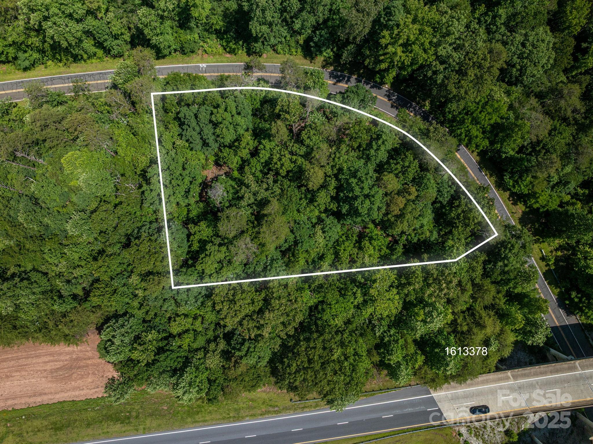 Lot at Lot #69 Cleghorn Mill Road, Rutherfordton, photo 2 of 26