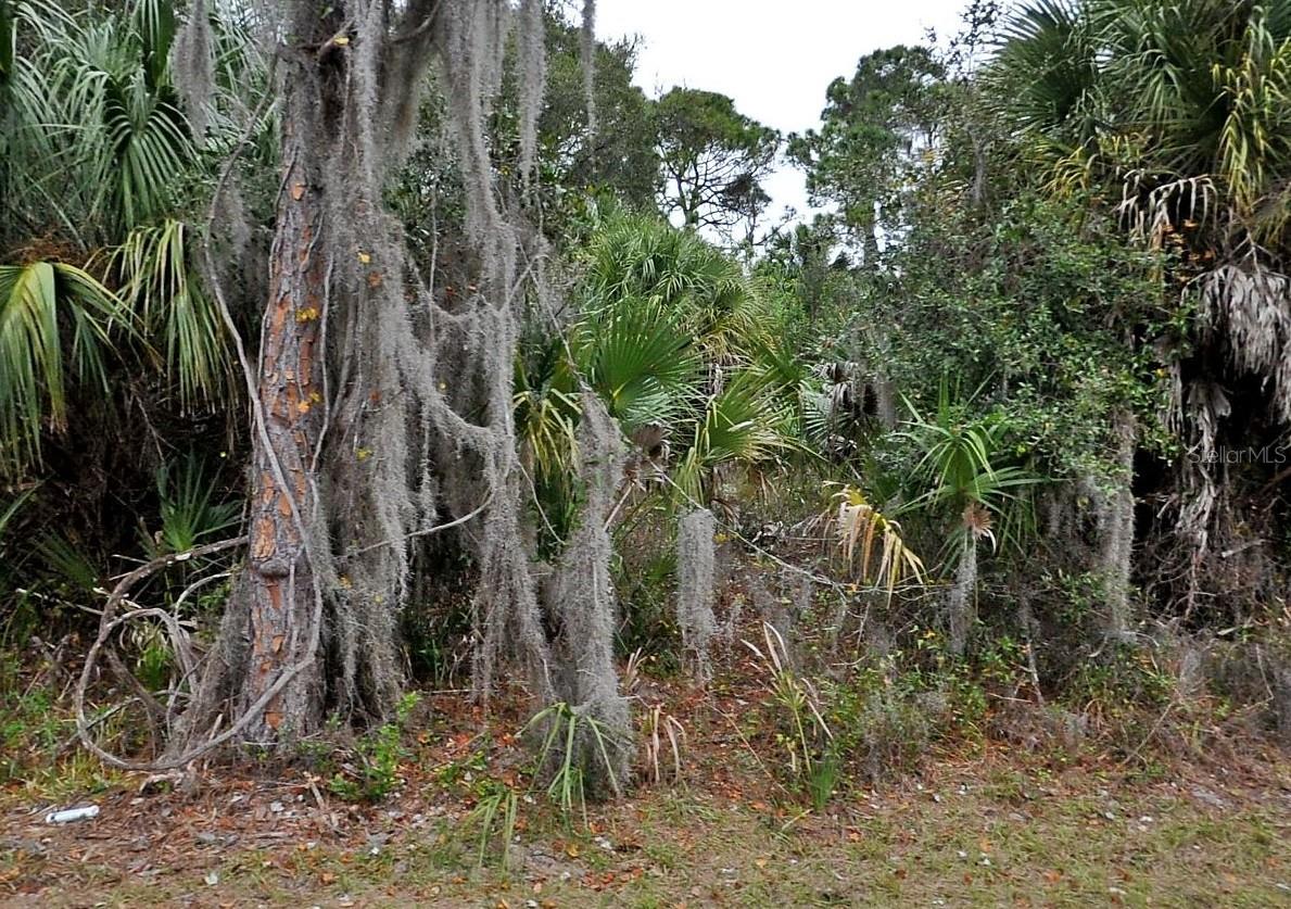 Land at SHADY AVE, NORTH PORT, photo 2 of 2