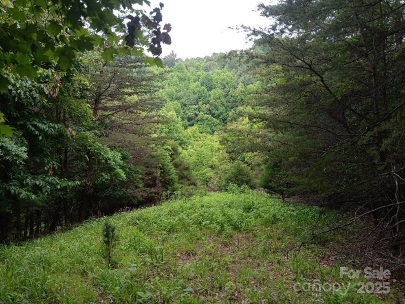 Acreage at 2239 NC Hwy 268 Highway, Wilkesboro