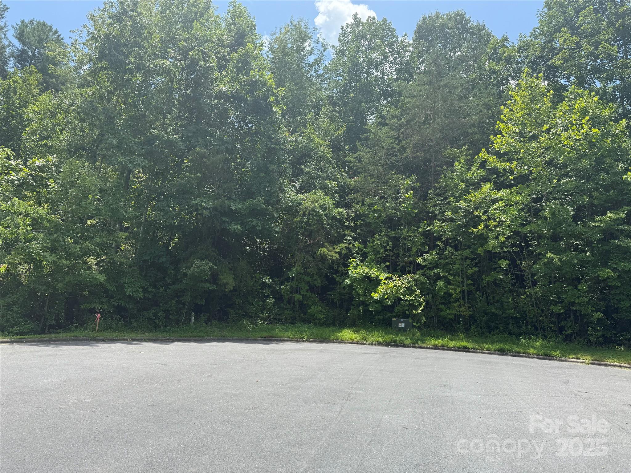 Lot at 1047 Williamsburg Drive, Lenoir, photo 2 of 13