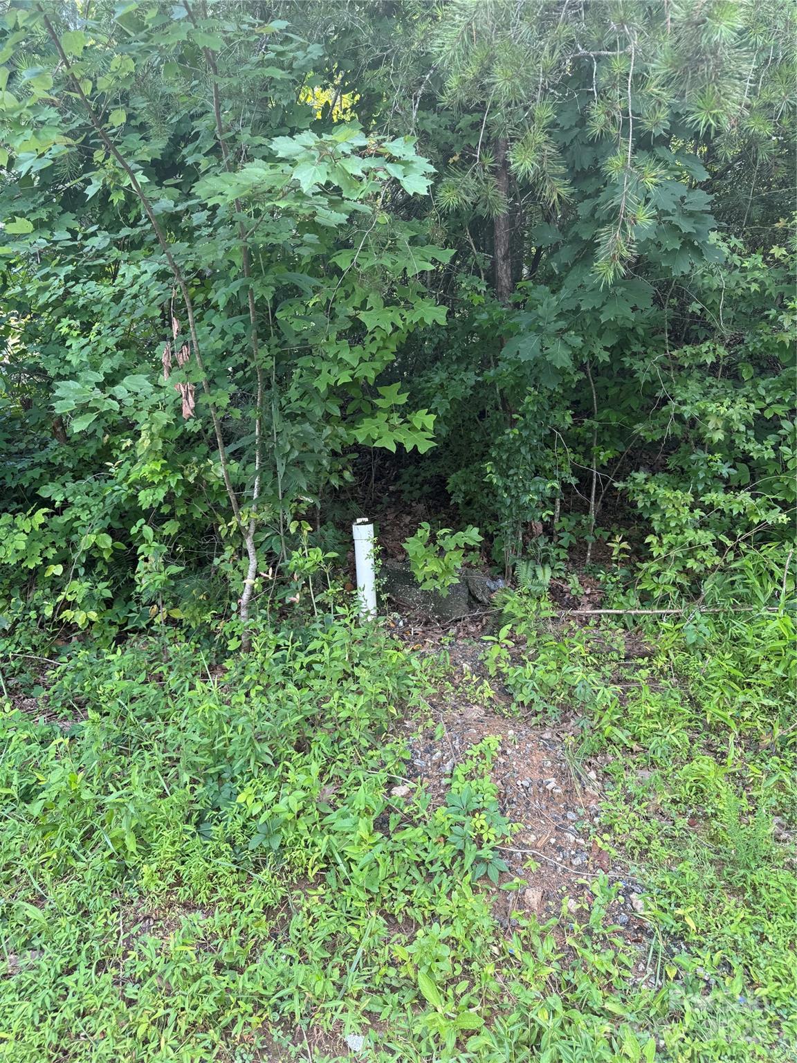 Lot at 1047 Williamsburg Drive, Lenoir, photo 4 of 13