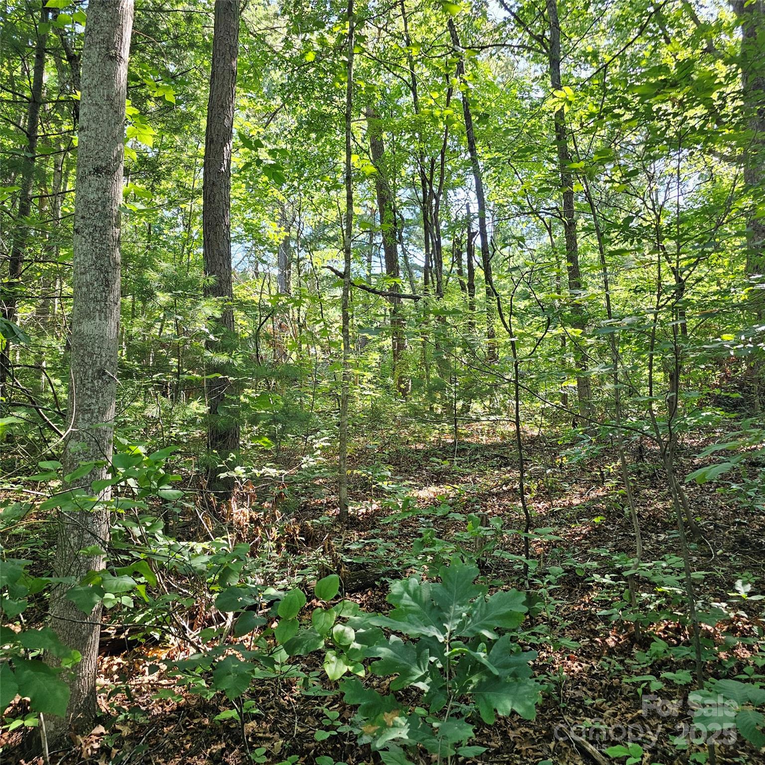 Lot at 99999 Campground Road, Asheville, photo 2 of 3