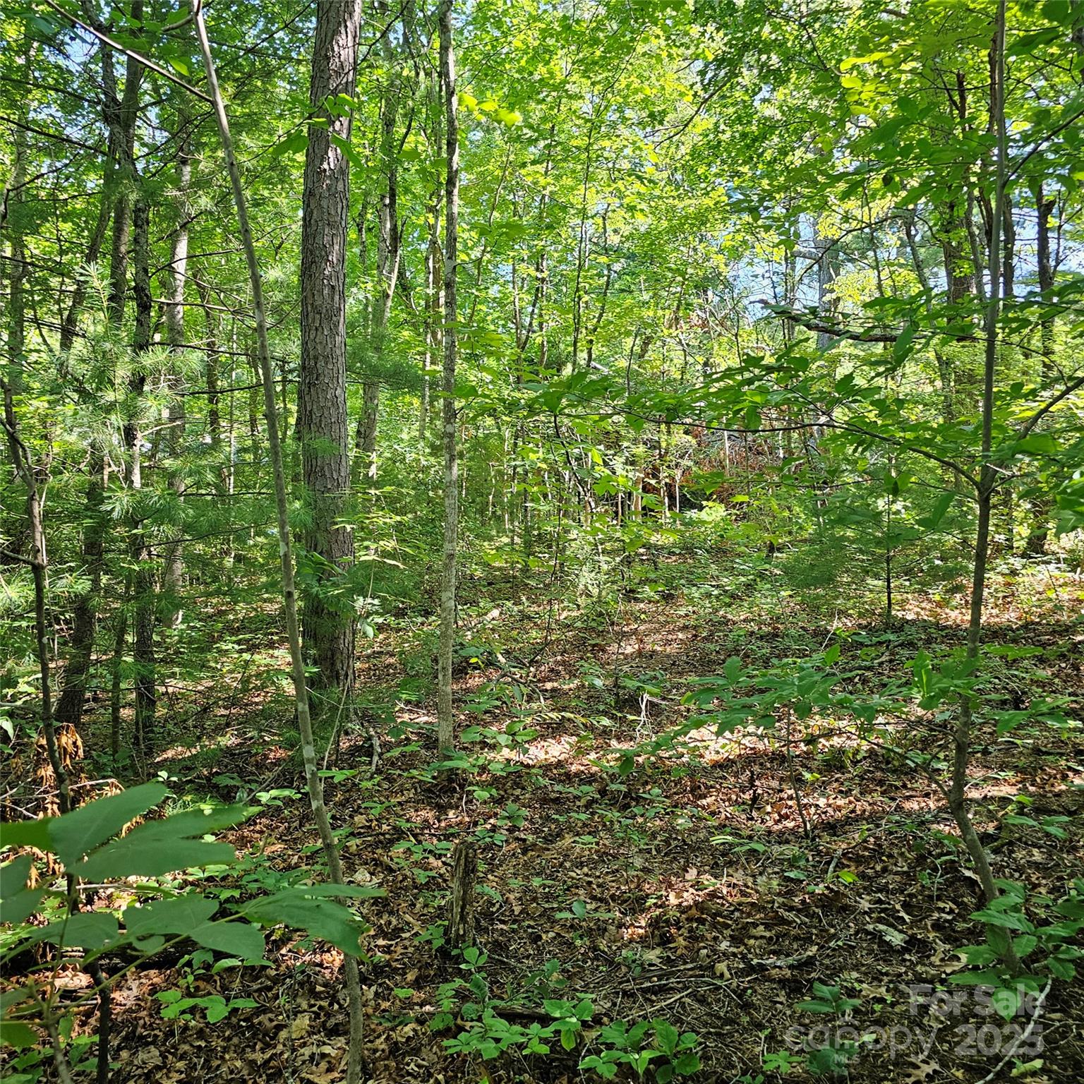 Lot at 99999 Campground Road, Asheville, photo 3 of 3