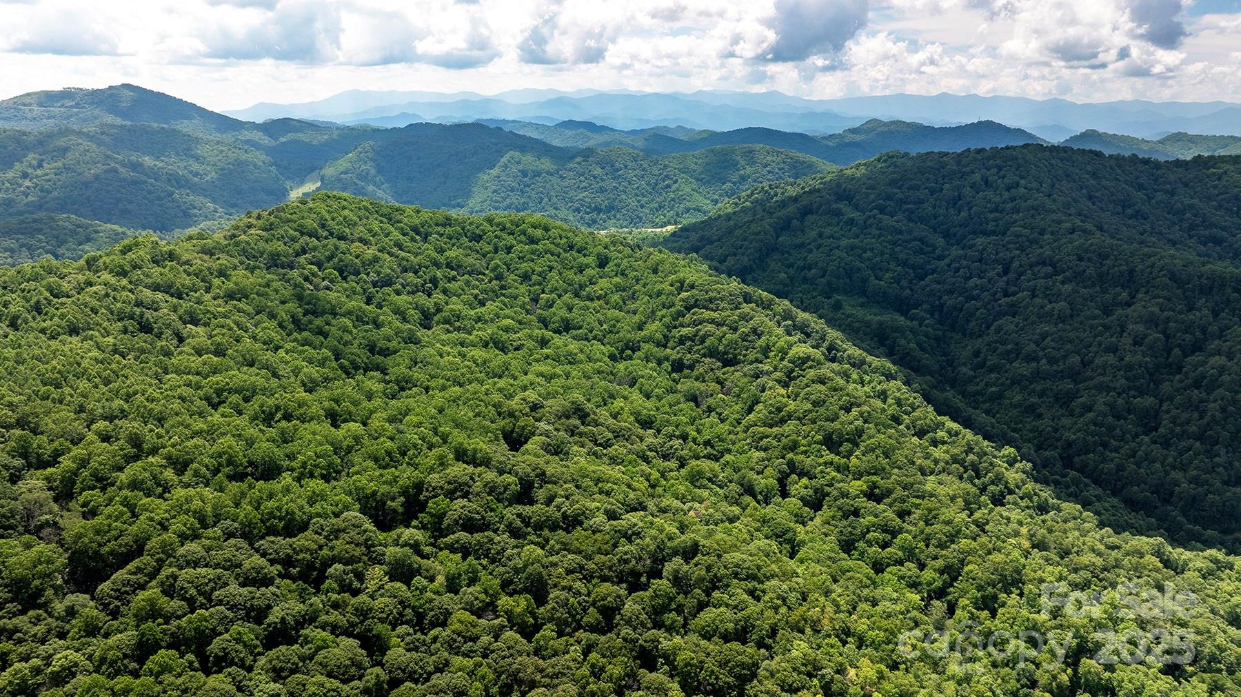 Own Your own mountain paradise - 1710 Roaring Fork Road, Mars Hill