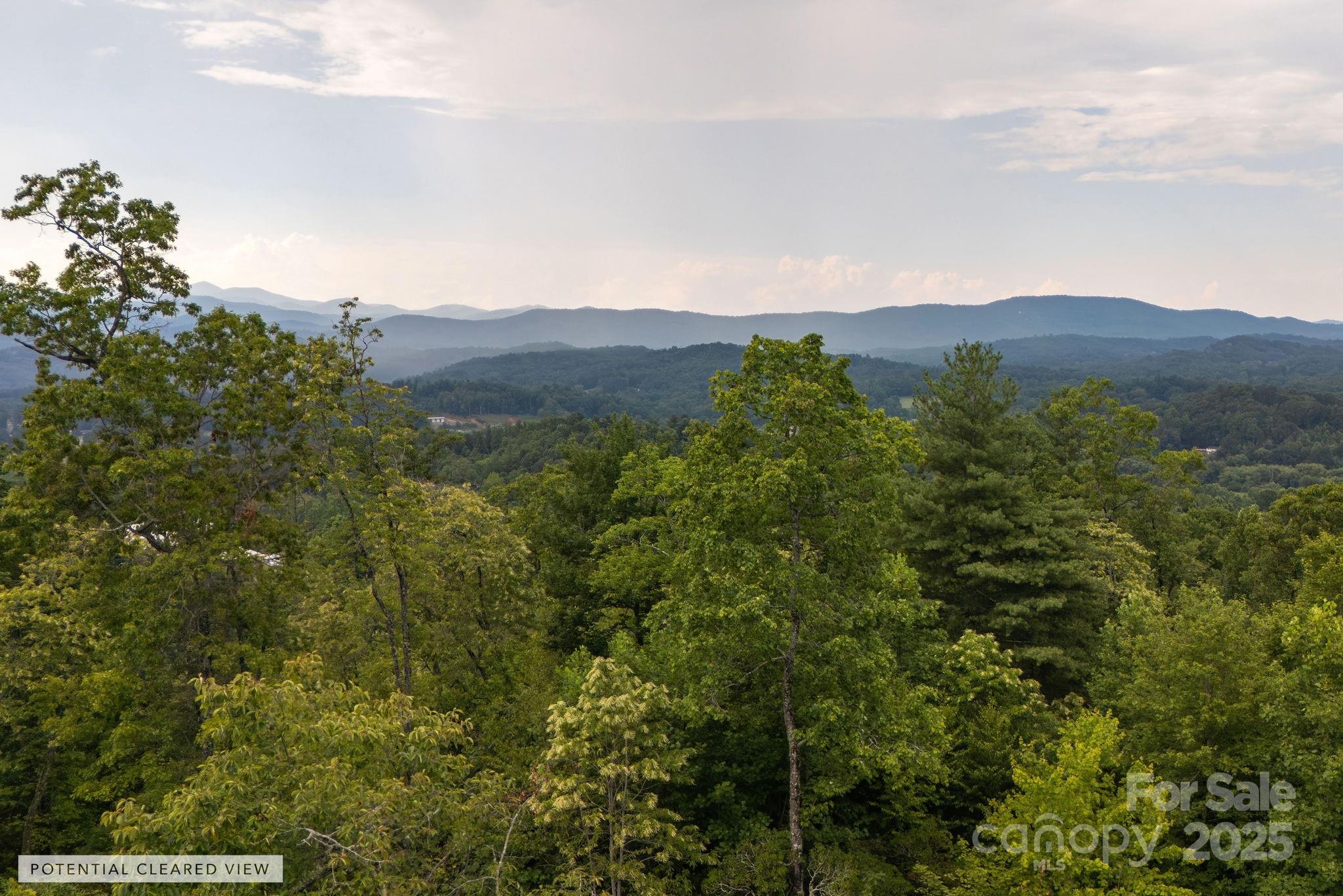 Lot # 7 Masterpiece View Drive
