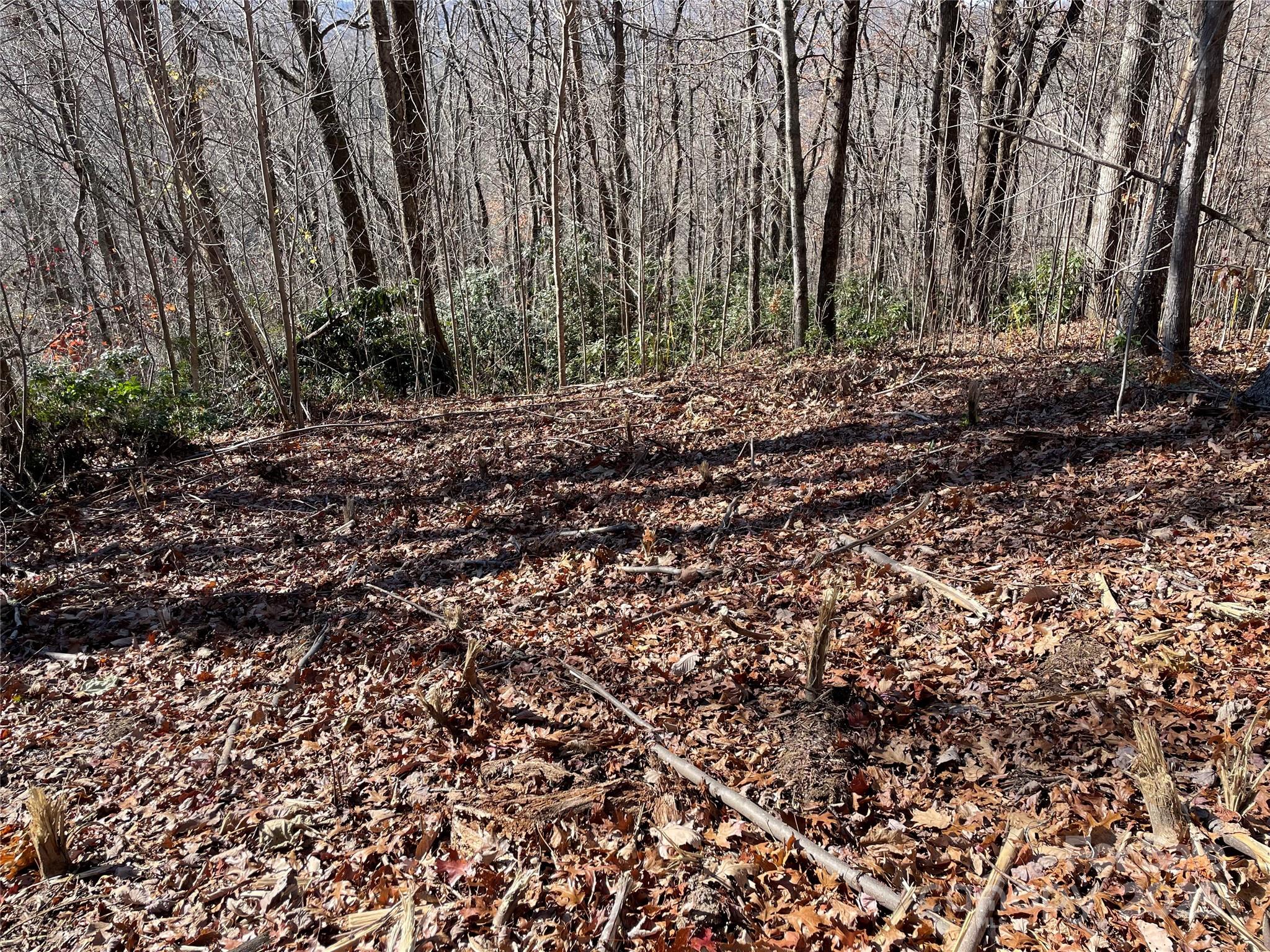 View of proposed cleared home site. - 9999-1 Nesbitt Chapel Road, Fairview