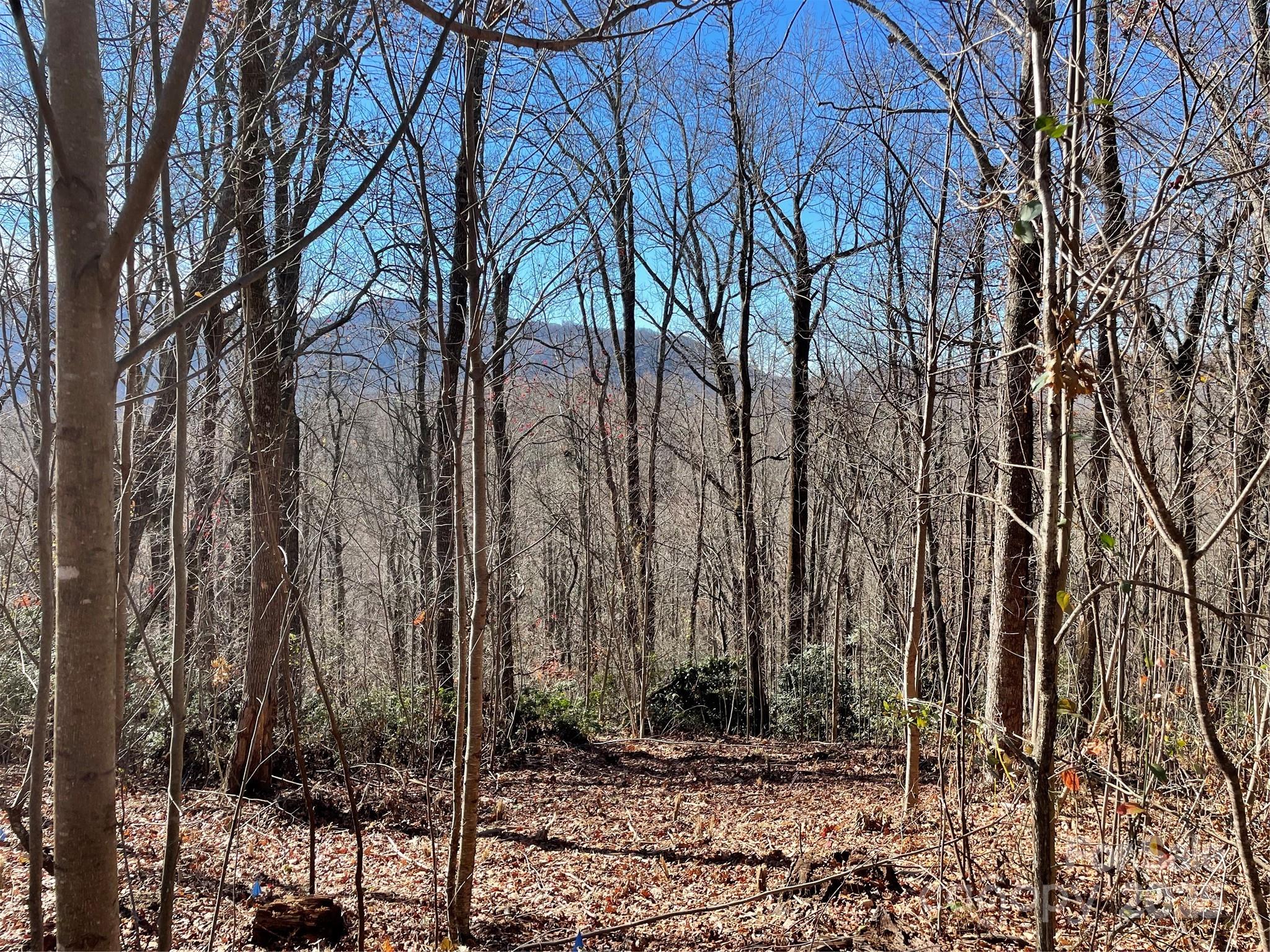 View west from proposed driveway. - 9999-1 Nesbitt Chapel Road, Fairview