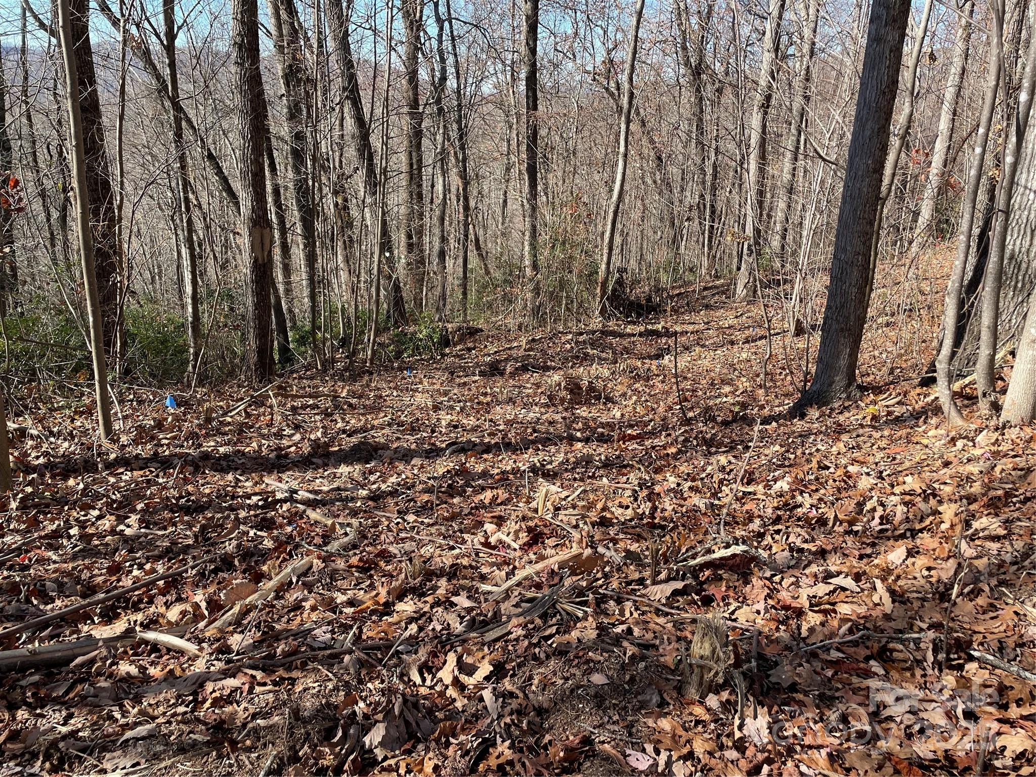 Proposed house site. - 9999-1 Nesbitt Chapel Road, Fairview