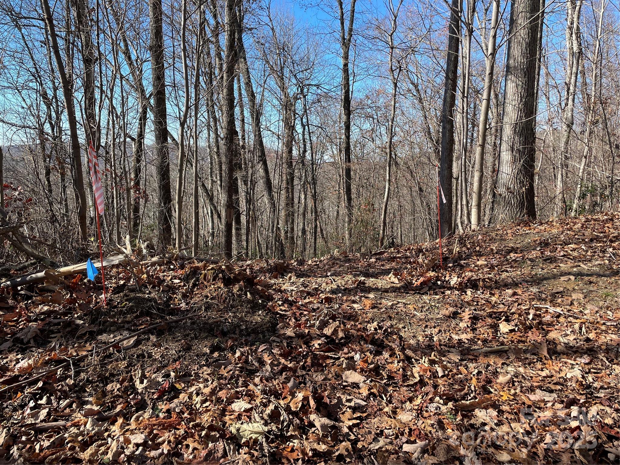 Blue flagged driveway on proposed house site. - 9999-1 Nesbitt Chapel Road, Fairview