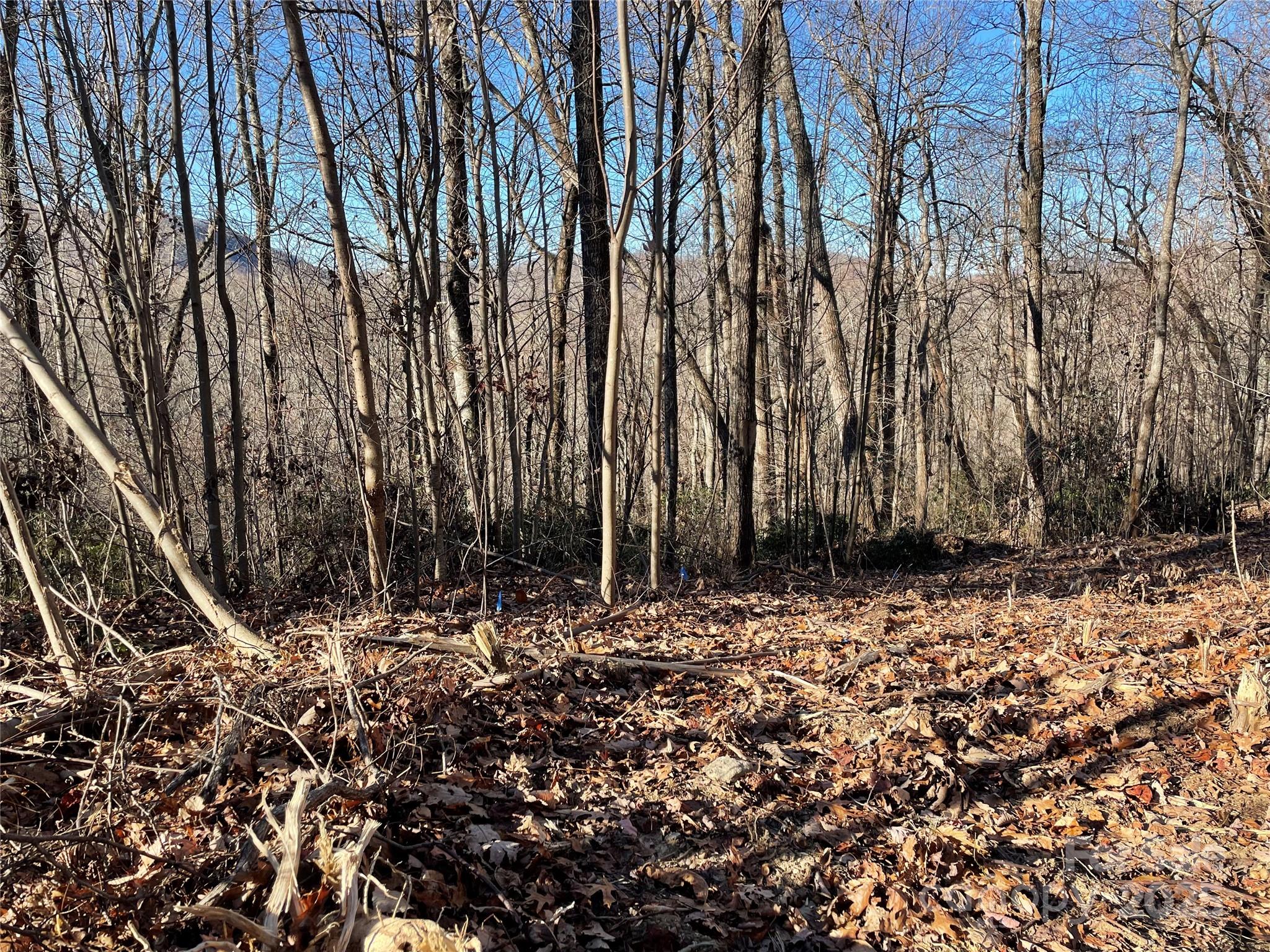 View west from proposed home site - 9999-1 Nesbitt Chapel Road, Fairview