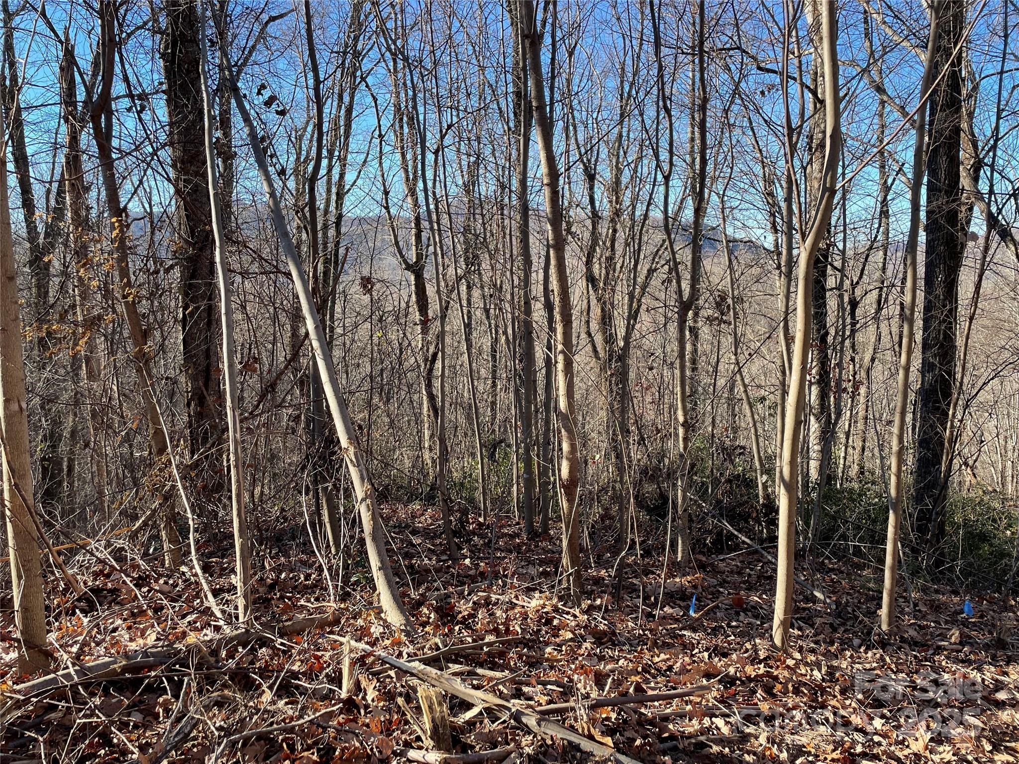 view south west from proposed home site. - 9999-1 Nesbitt Chapel Road, Fairview