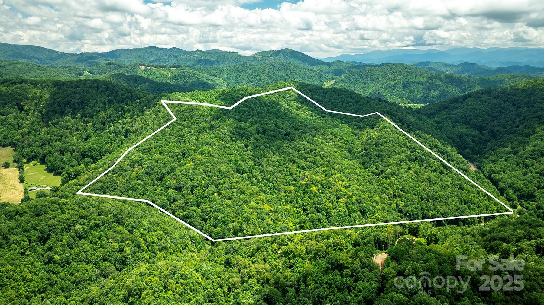 1710 Roaring Fork Road