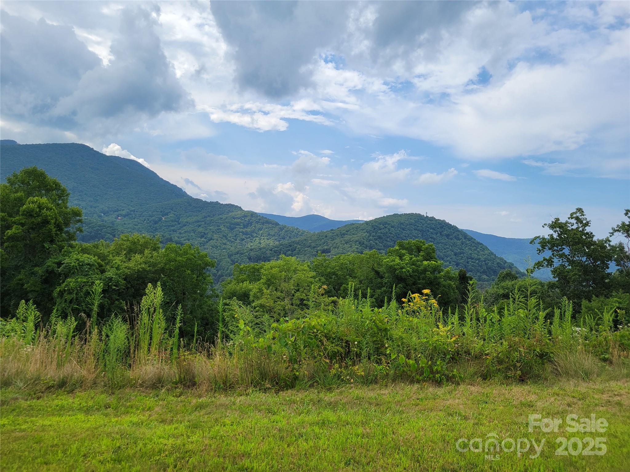 35 Rons Ridge