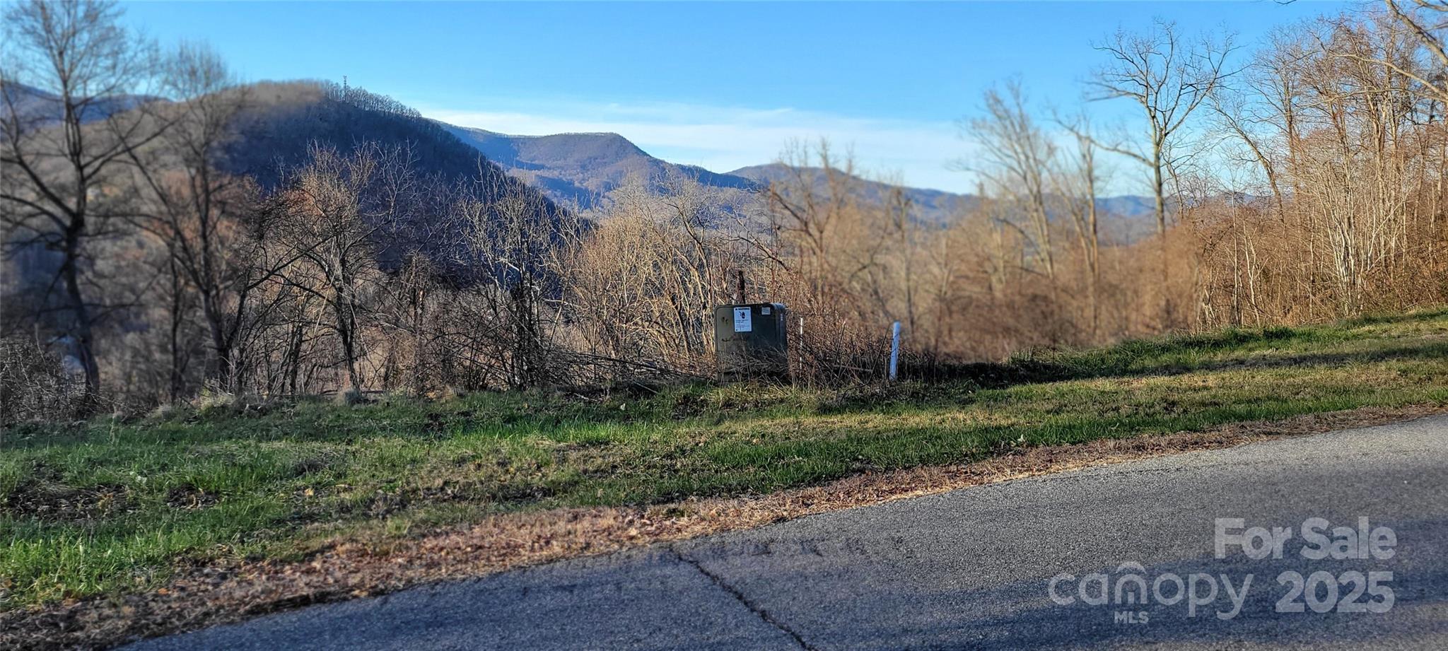 Wide paved Subd Streets & Mtn Views - 38 Rons Ridge, Waynesville