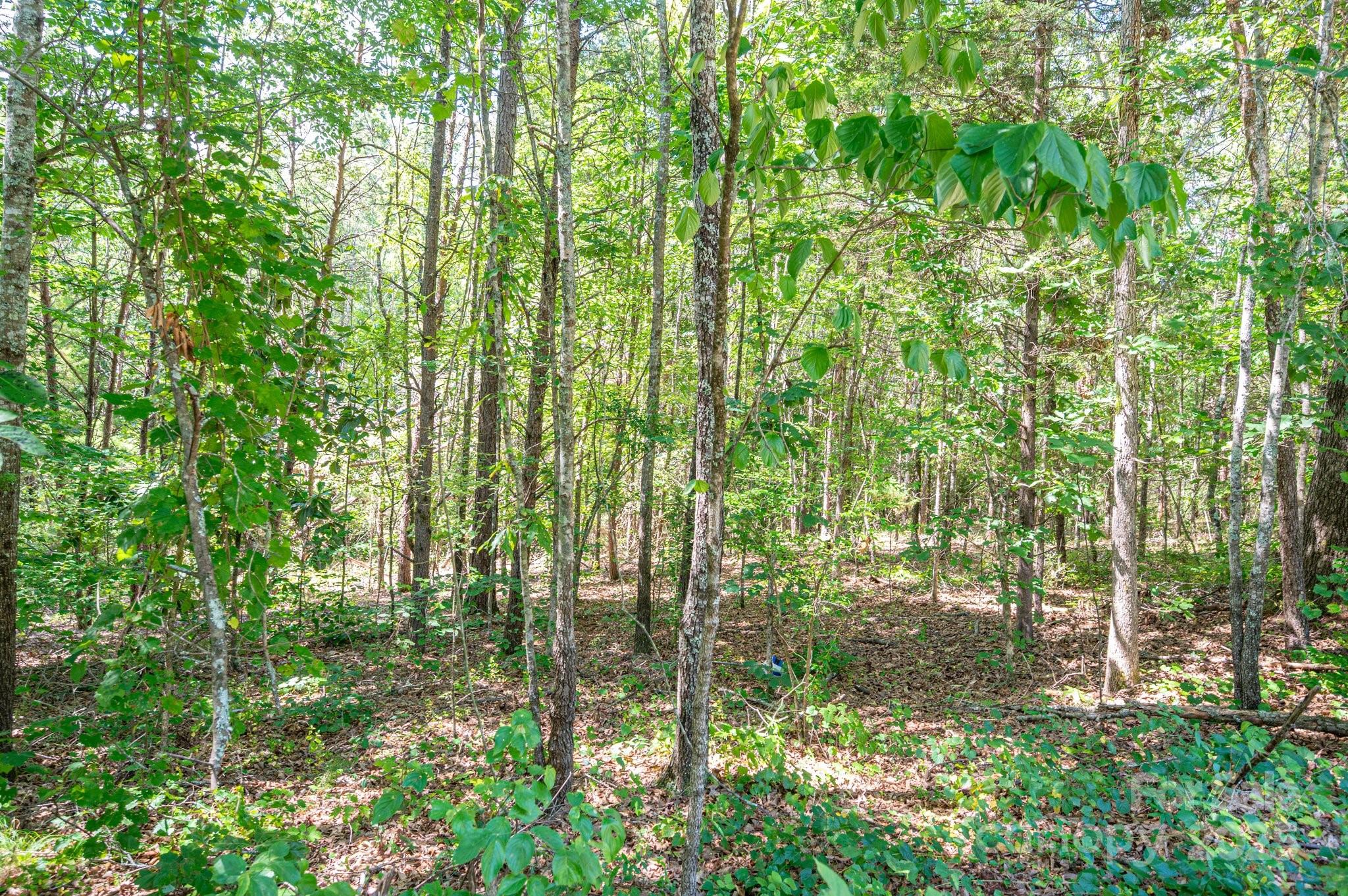 Lot # 16 Meadow Crossing Drive