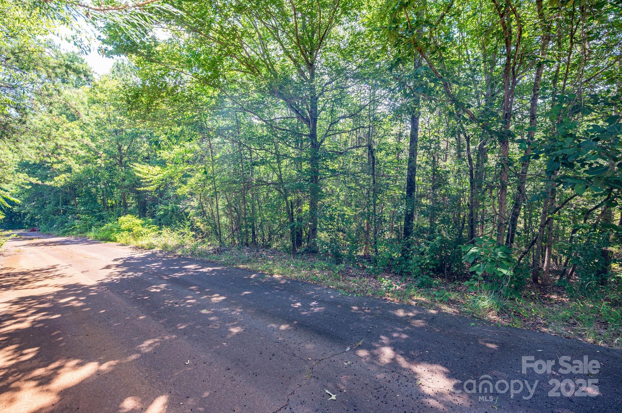 Lot at Lot # 16 Meadow Crossing Drive, Rutherfordton, photo 3 of 13