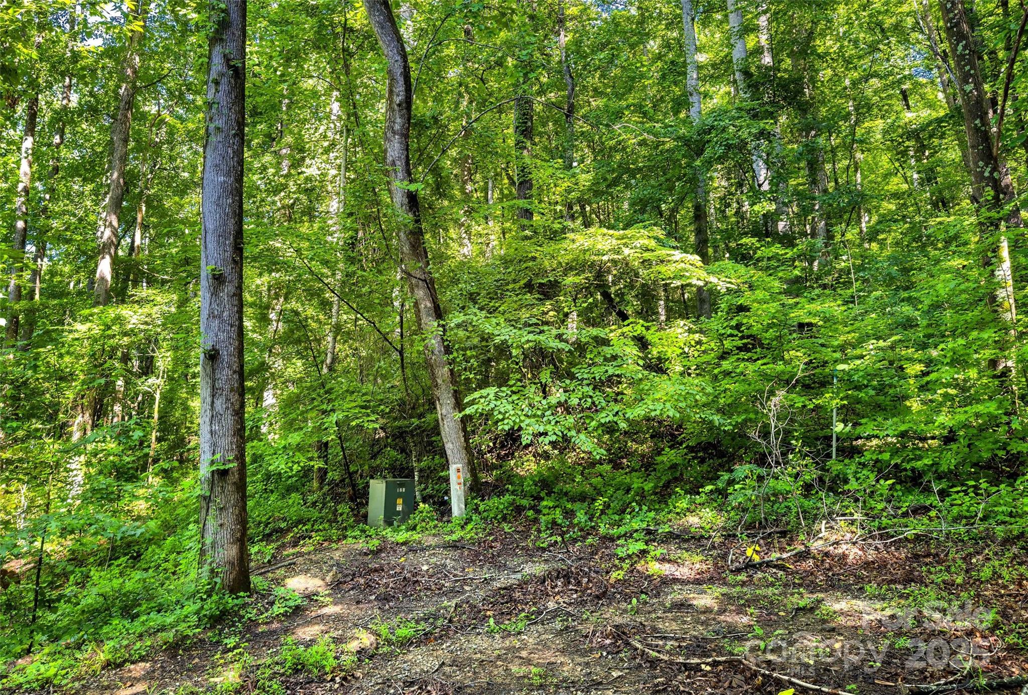 Lot at Lot # 77 Hunnicut Spur Road, Marion, photo 5 of 28
