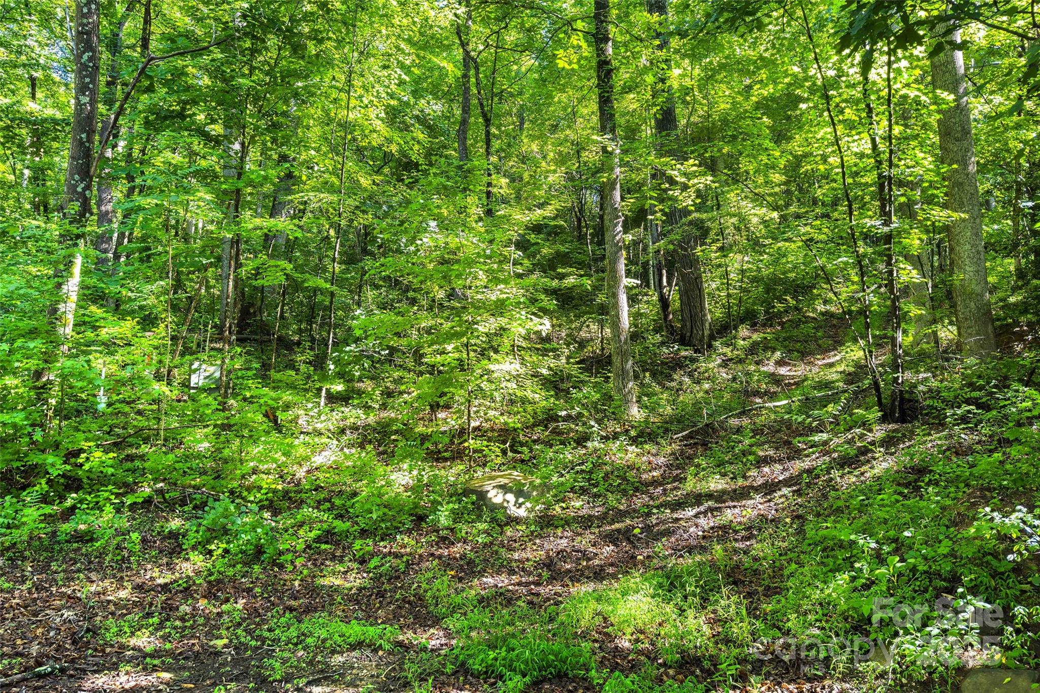 Lot at Lot # 77 Hunnicut Spur Road, Marion, photo 6 of 28