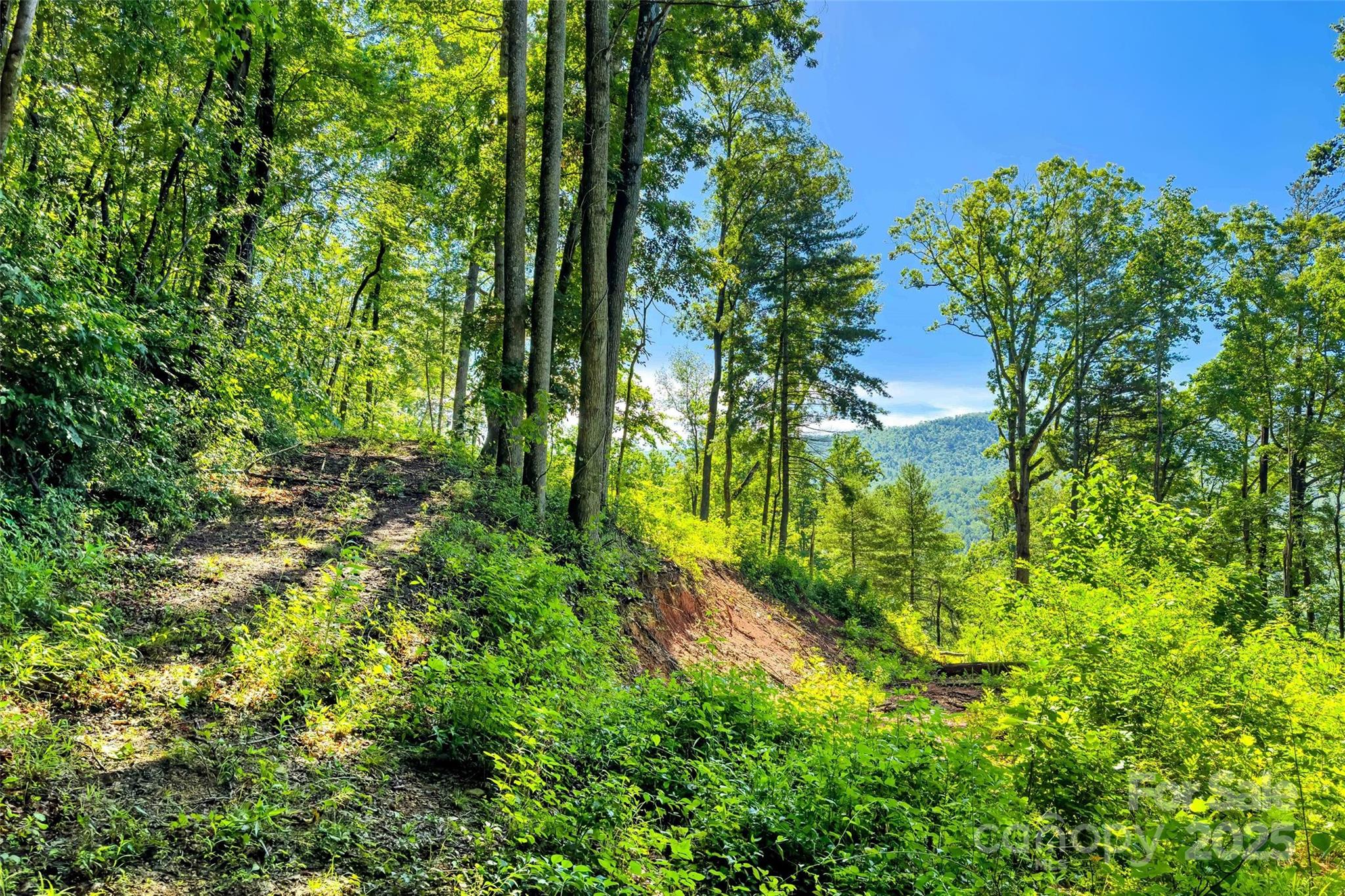Lot at Lot # 77 Hunnicut Spur Road, Marion, photo 11 of 28
