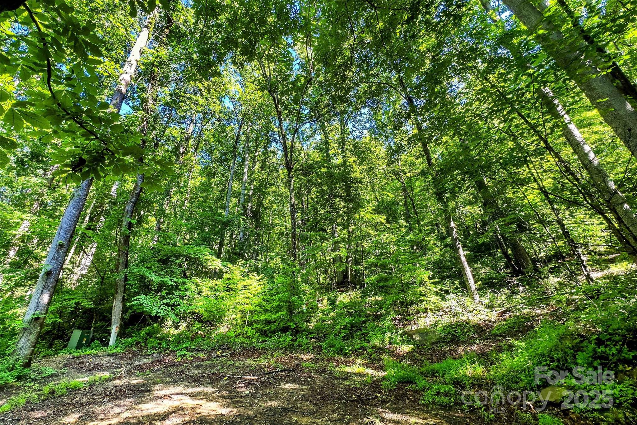 Lot at Lot # 77 Hunnicut Spur Road, Marion, photo 13 of 28