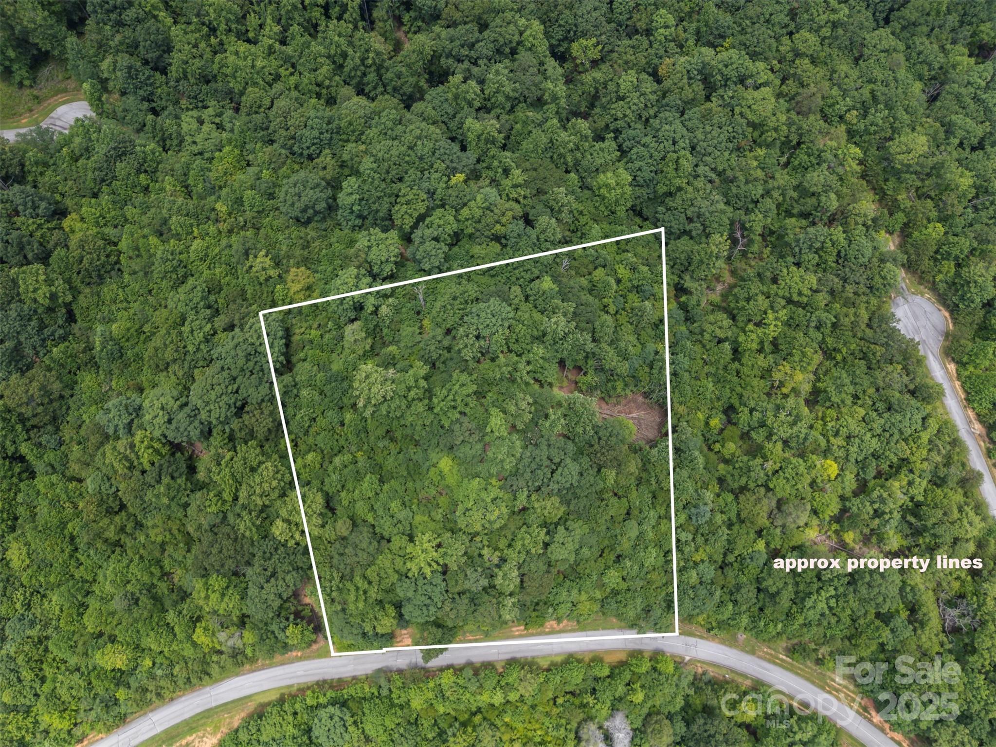 Lot at 000 Deep Gap Farm Road E, Mill Spring, photo 2 of 13
