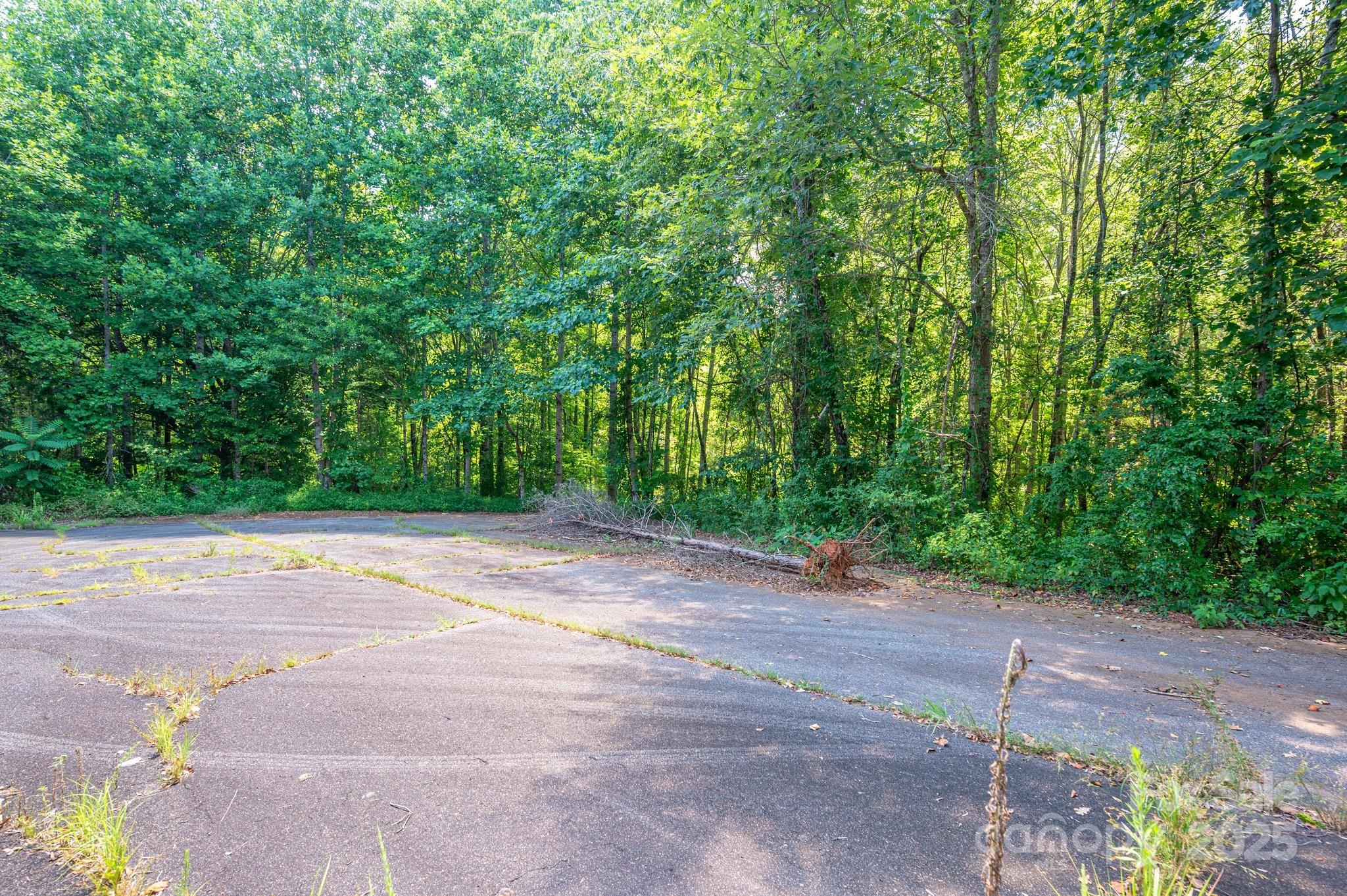 Lot at 0 Meadow Crossing Drive, Rutherfordton, photo 4 of 22
