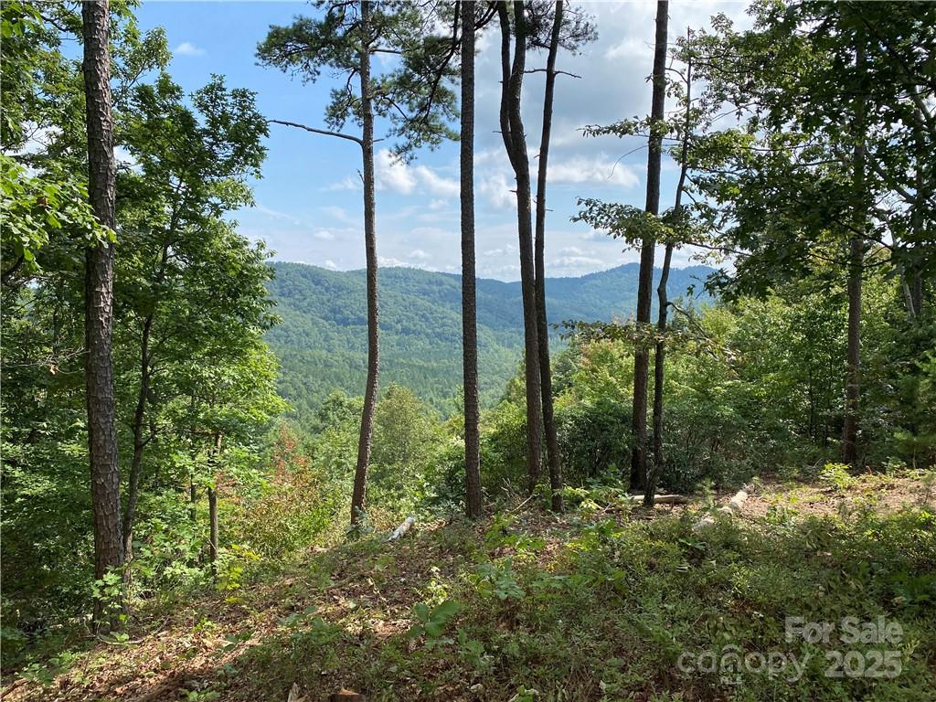 Southern Mountain View - 61 Scenic Vista Drive, Nebo