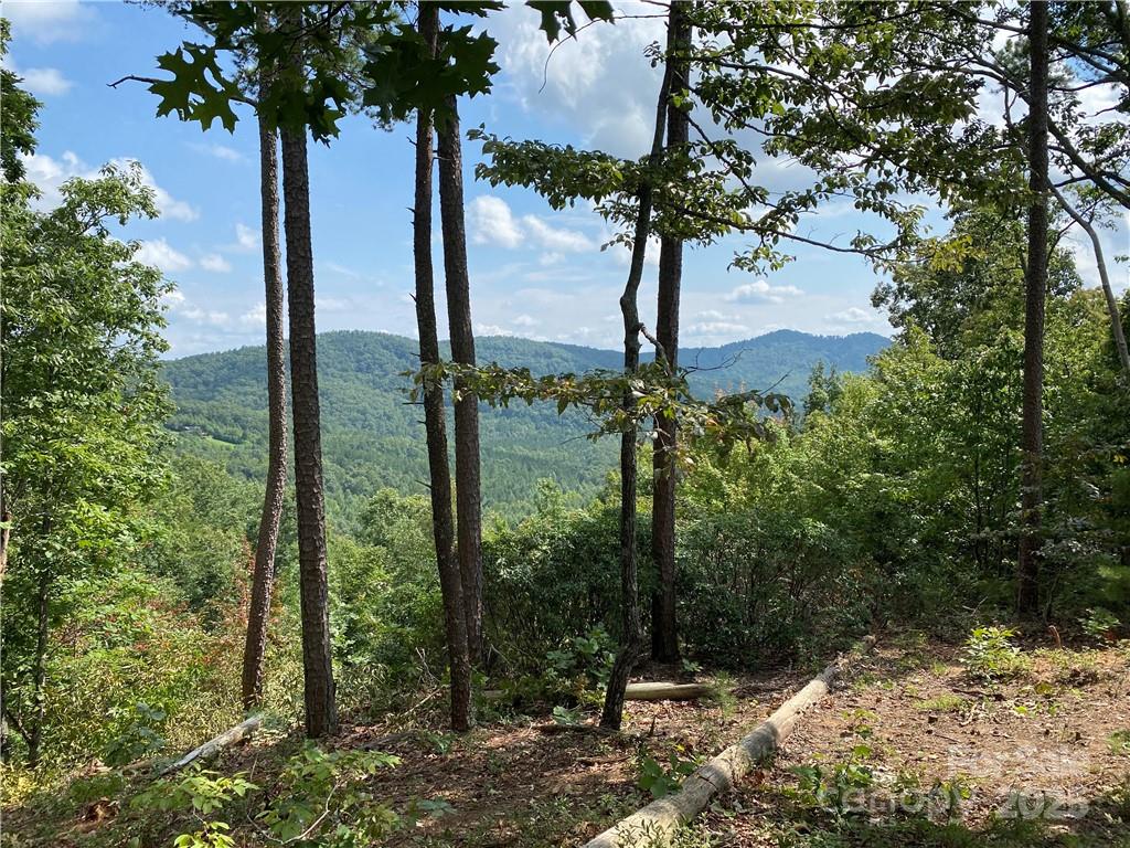 Southern View - 61 Scenic Vista Drive, Nebo