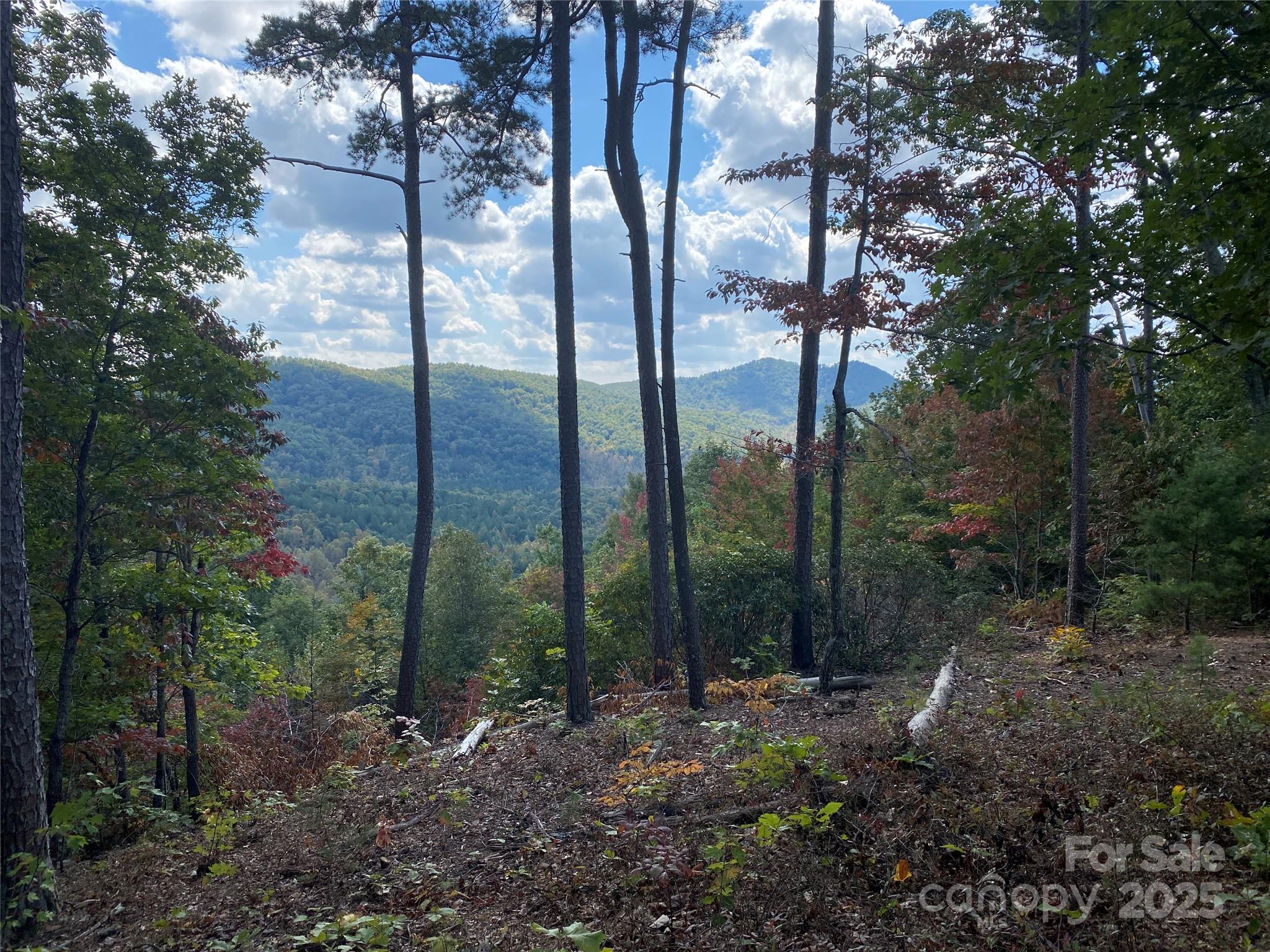 Lot at 61 Scenic Vista Drive, Nebo, photo 5 of 24