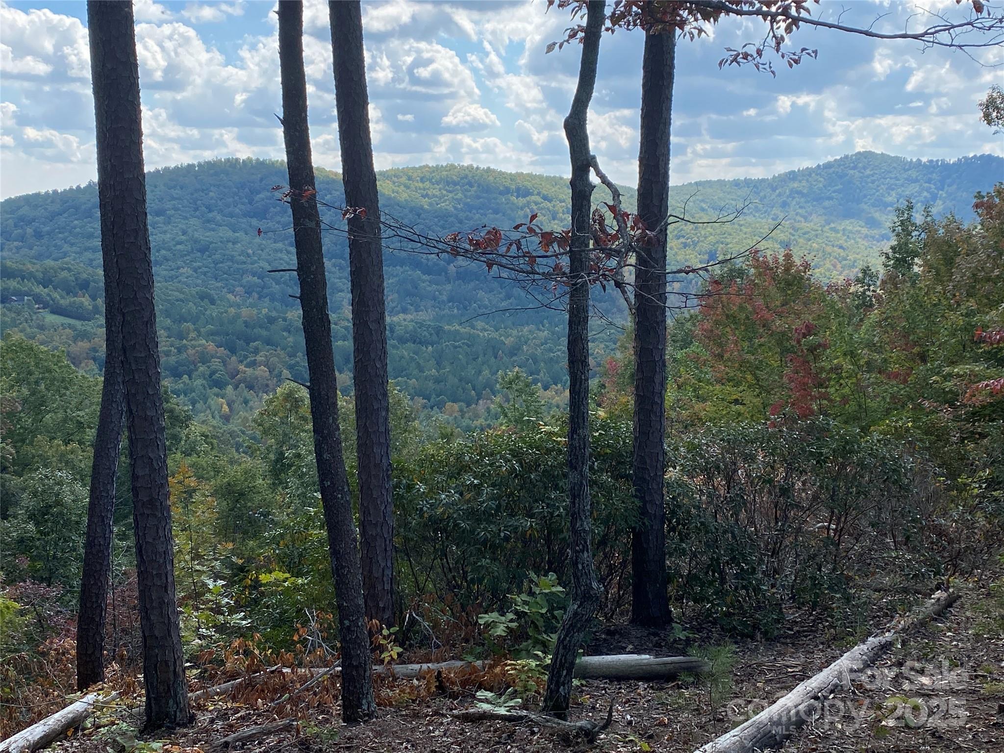 Lot at 61 Scenic Vista Drive, Nebo, photo 6 of 24